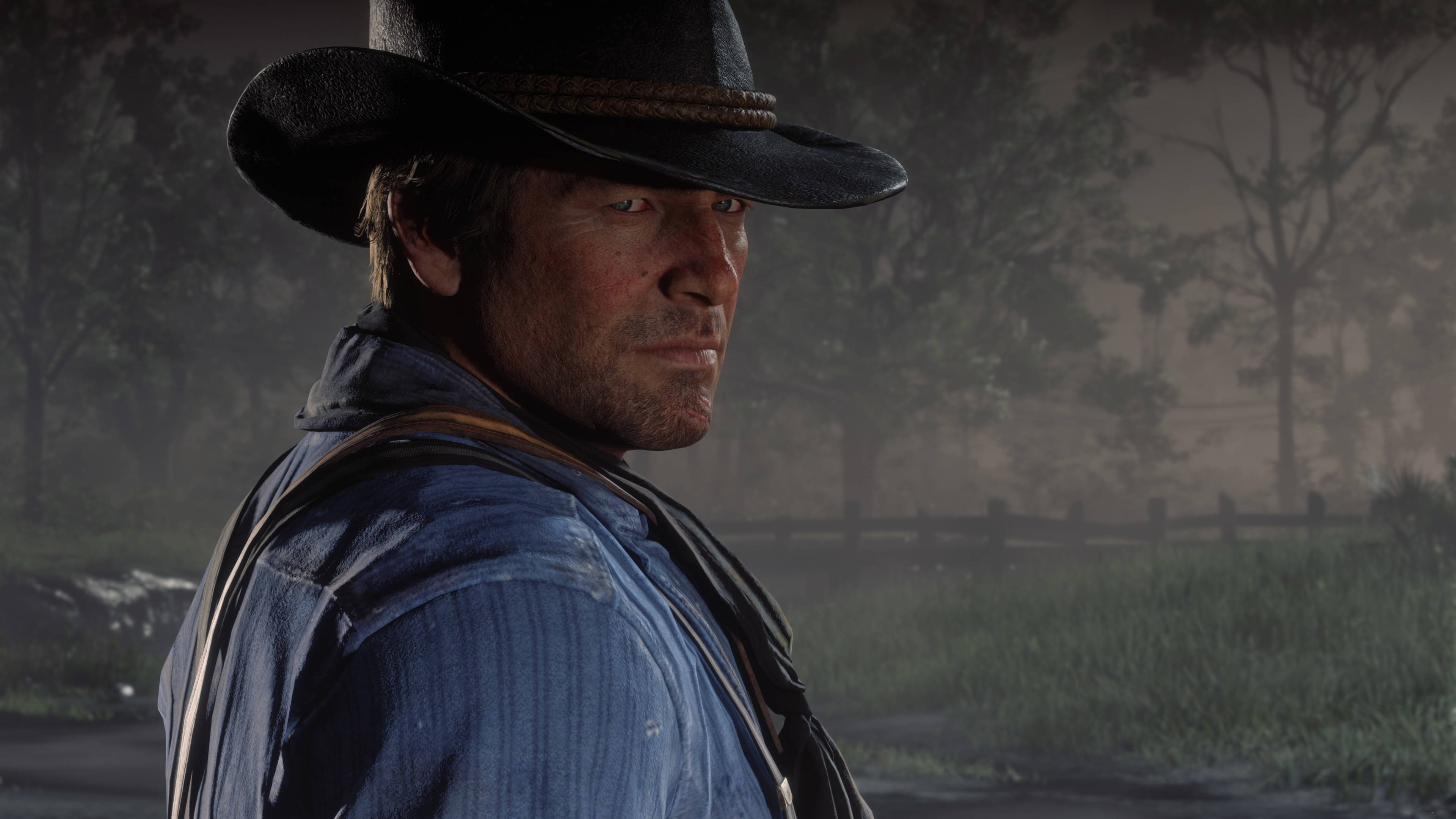 Red Dead Redemption 2 Desktop 桌布 壁紙 — 一個戴黑帽、穿藍衫的粗獷牛仔，在迷霧鄉村環境中，越過肩膀凝視著。