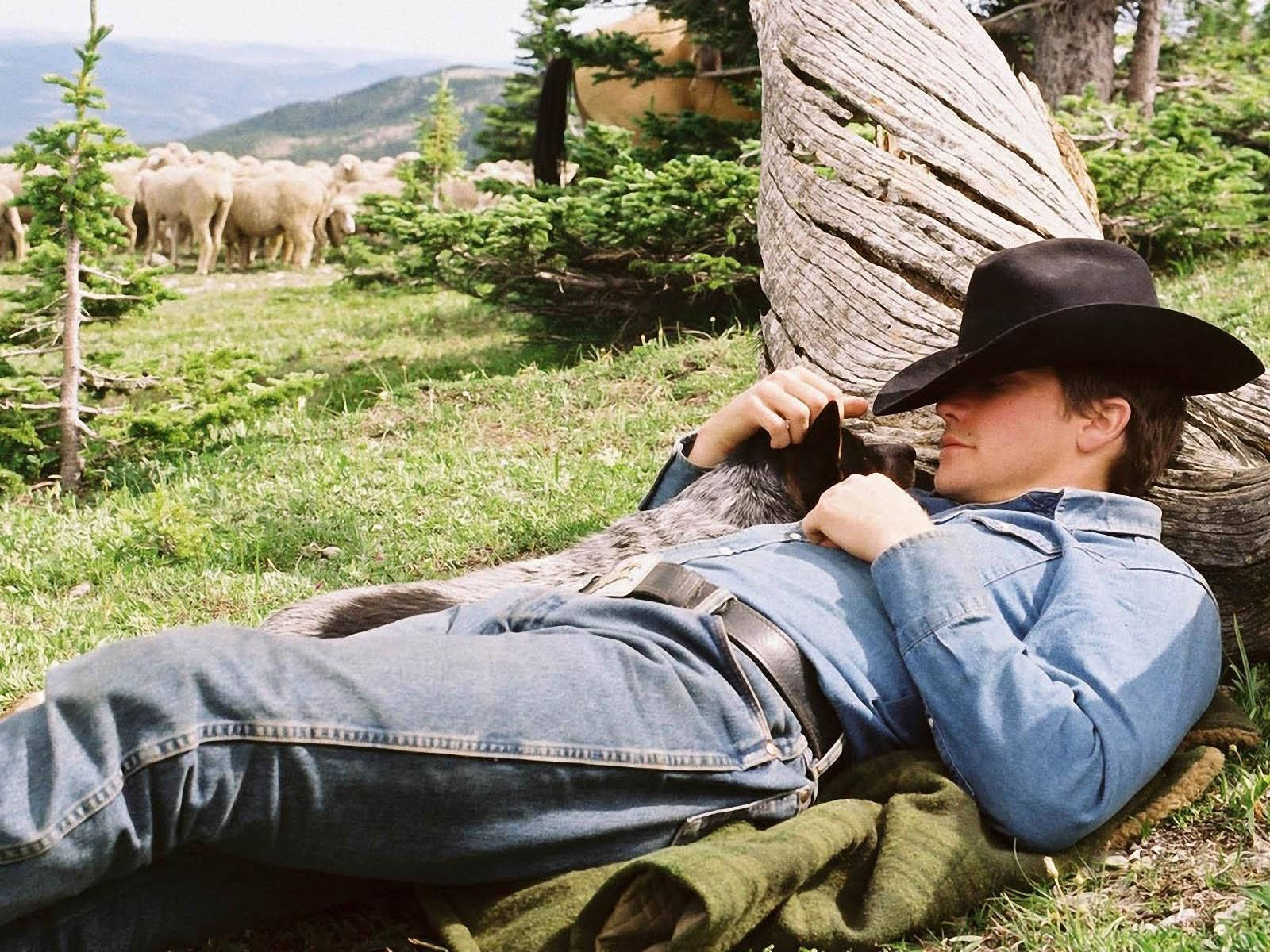 brokeback mountain 桌布 壁紙 — 一個戴黑帽的牛仔與狗在樹旁平靜地休息，羊群在山間草地上吃草。