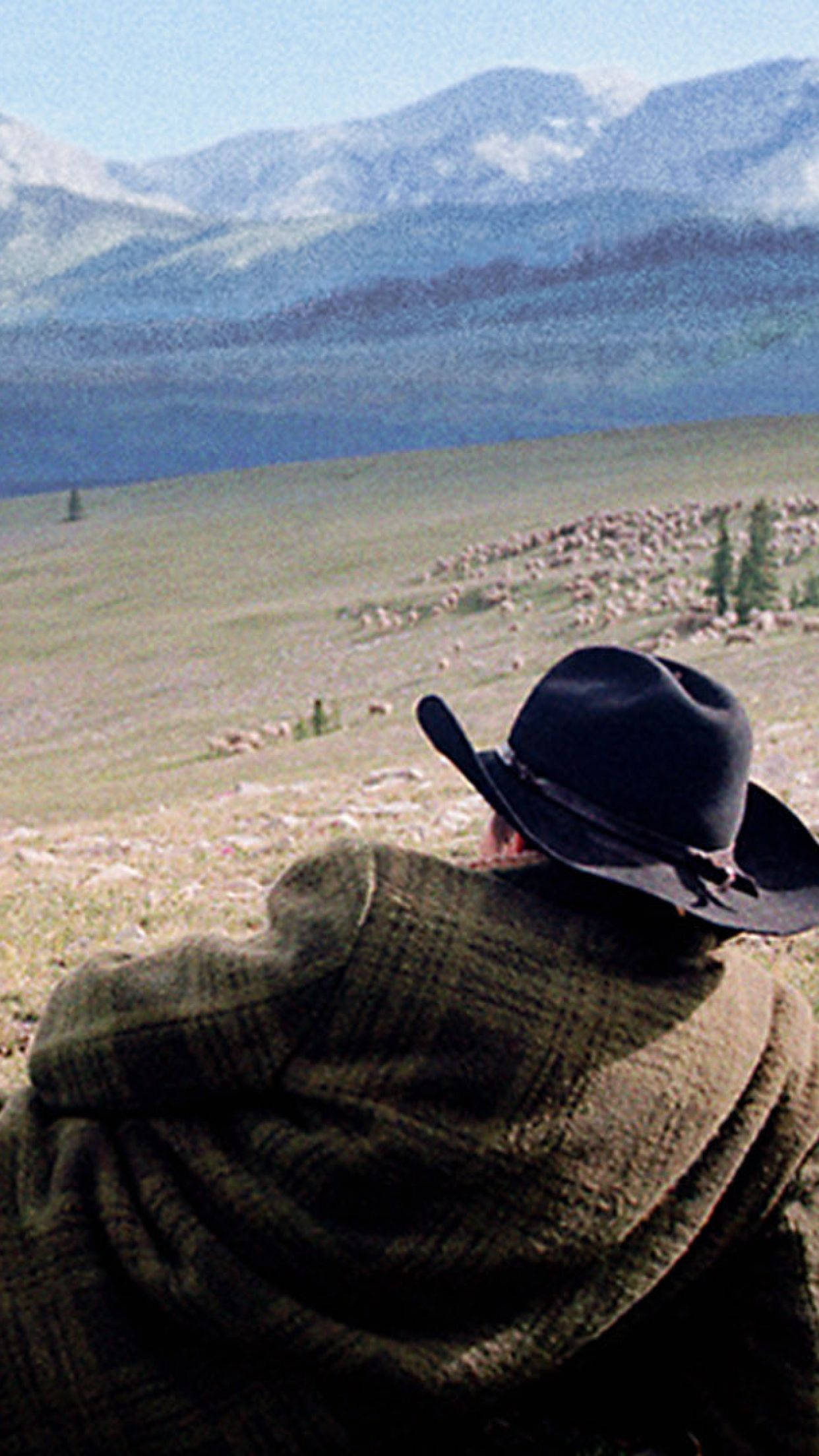 brokeback mountain 桌布 壁紙 — 一個戴黑帽穿格紋外套的人坐著俯瞰一片廣闊的草地，上面有羊和遠處的雪山。