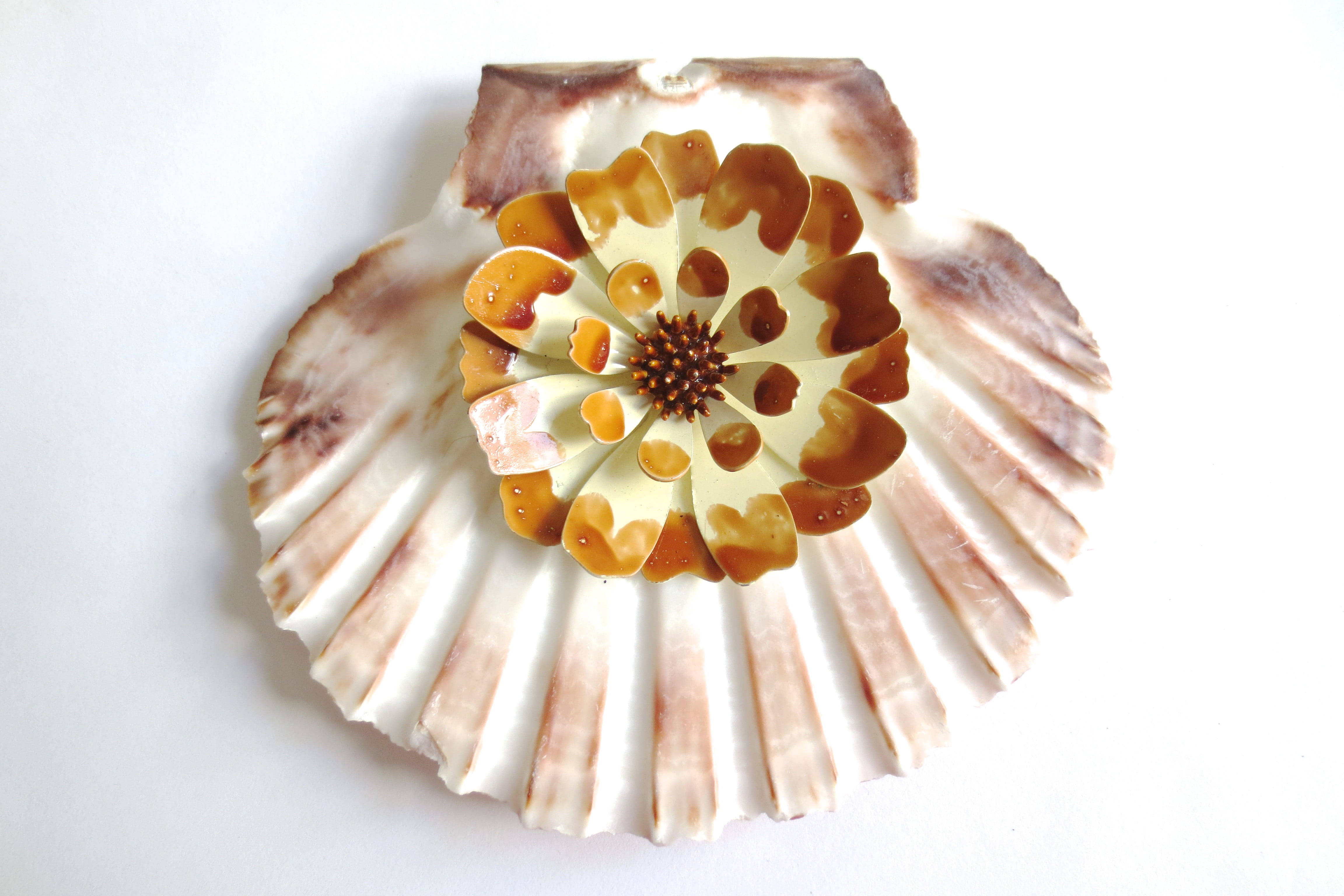 Seashell 桌布 壁紙 — 一個扇貝殼，在純白色背景上藝術地點綴著分層的棕色和奶油色花卉設計。