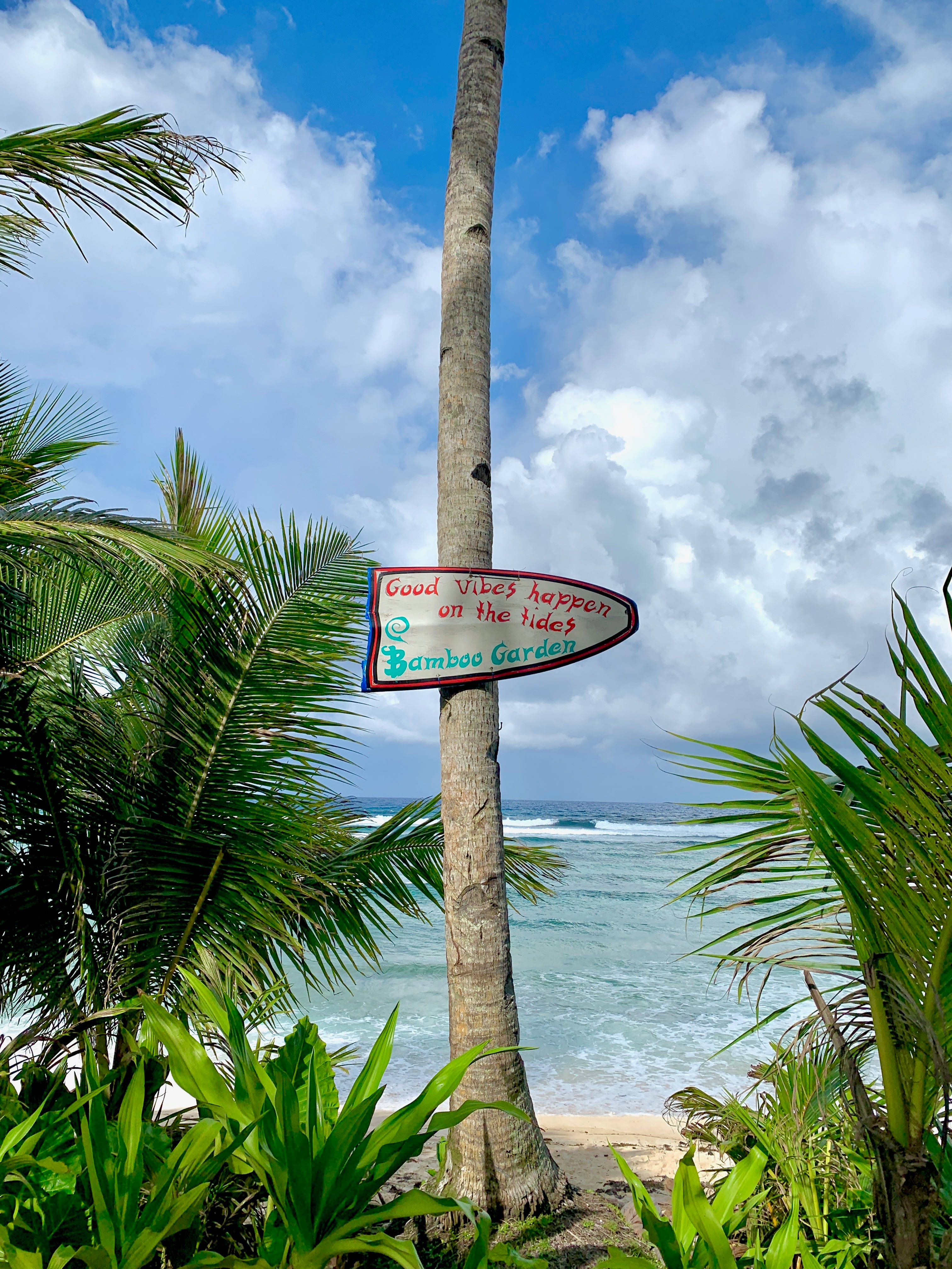 Siargao 桌布 壁紙 — 一個手繪標牌，上面寫著「Good vibes happen on the tides Bamboo Garden」，掛在一棵棕櫚樹上，俯瞰著在部分多雲的天空下的碧藍海洋。