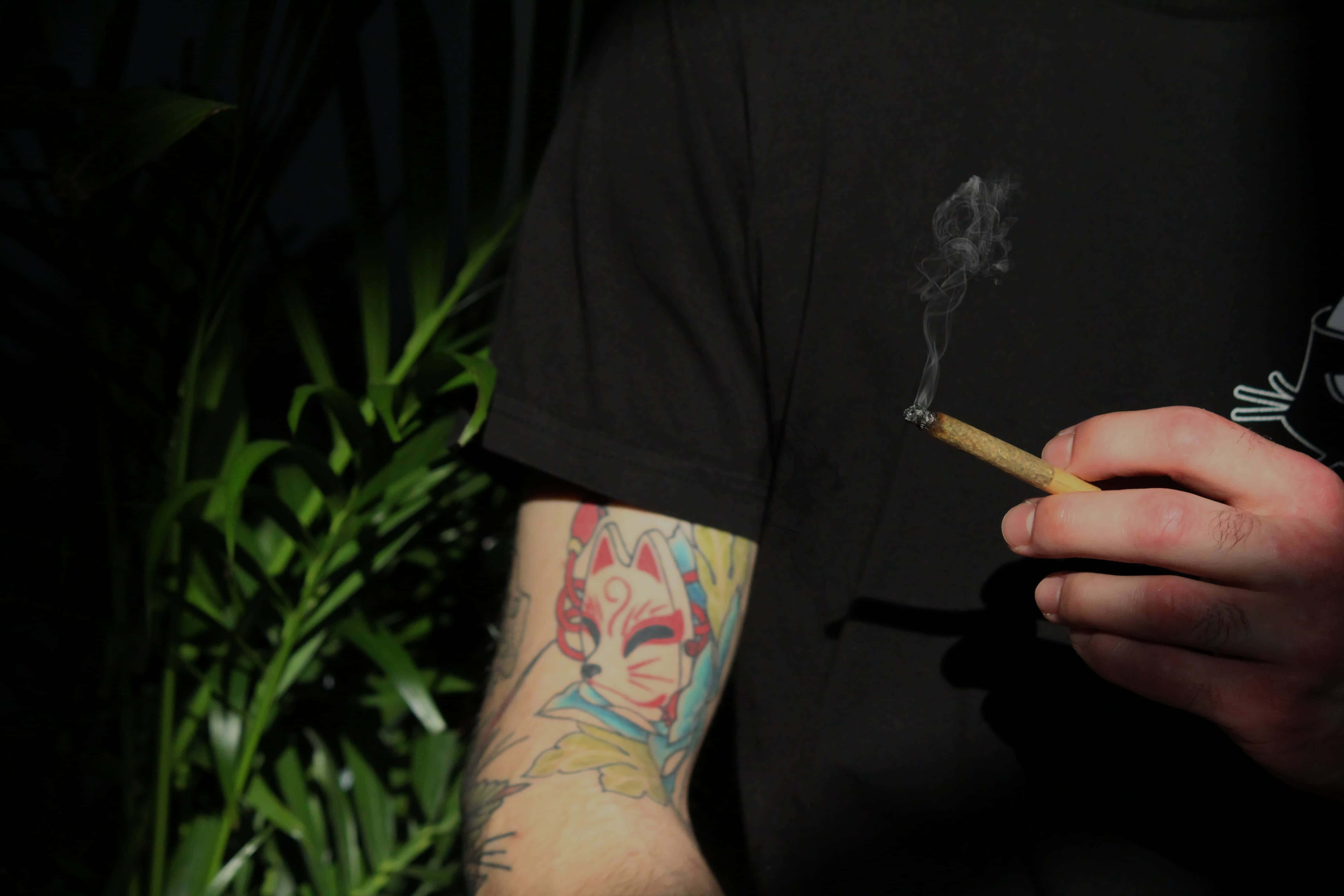 Weed Blunt 桌布 壁紙 — 一個手臂上有彩色狐狸刺青的人，在黑暗背景和綠色樹葉的襯托下，拿著一支點燃並冒煙的雪茄。