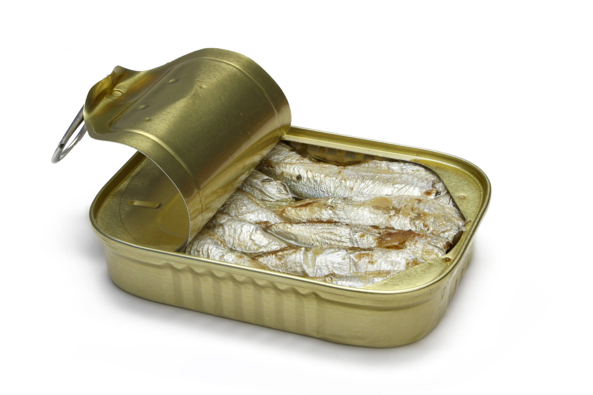 魚 桌布 壁紙 — 一個打開的金色罐頭，露出緊密排列在純白背景上的銀色沙丁魚。