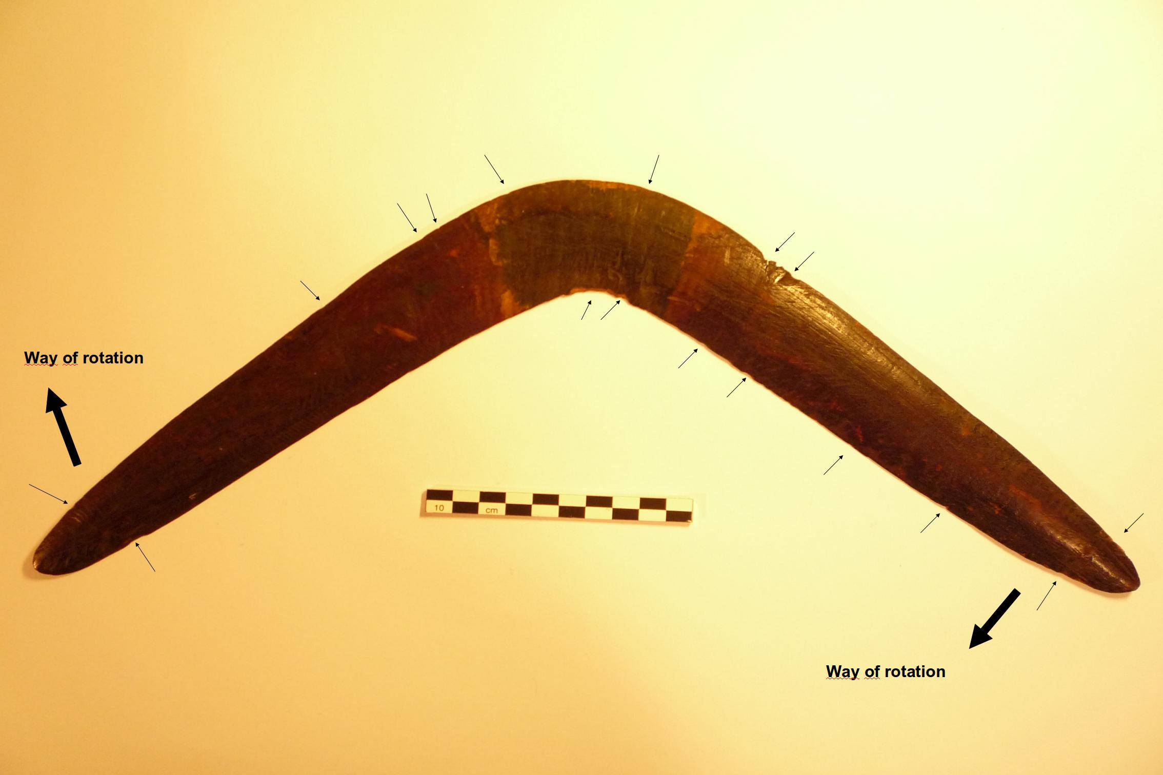 Boomerang 桌布 壁紙 — 一個拋光木製迴力鏢放在平坦表面上，帶有指示其旋轉運動的箭頭和用於尺寸參考的比例尺。