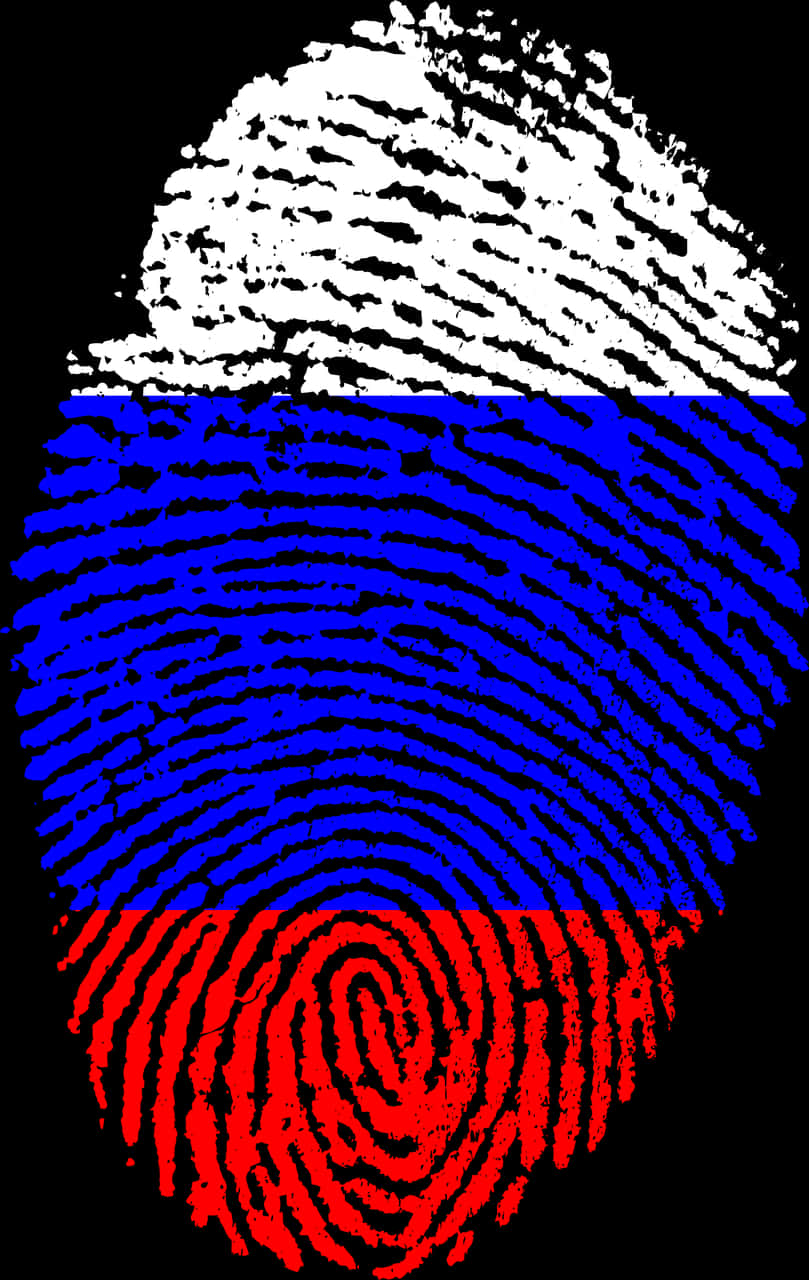 Identity 桌布 壁紙 — 一個指紋圖案，填充了俄羅斯的三色旗，背景為黑色。