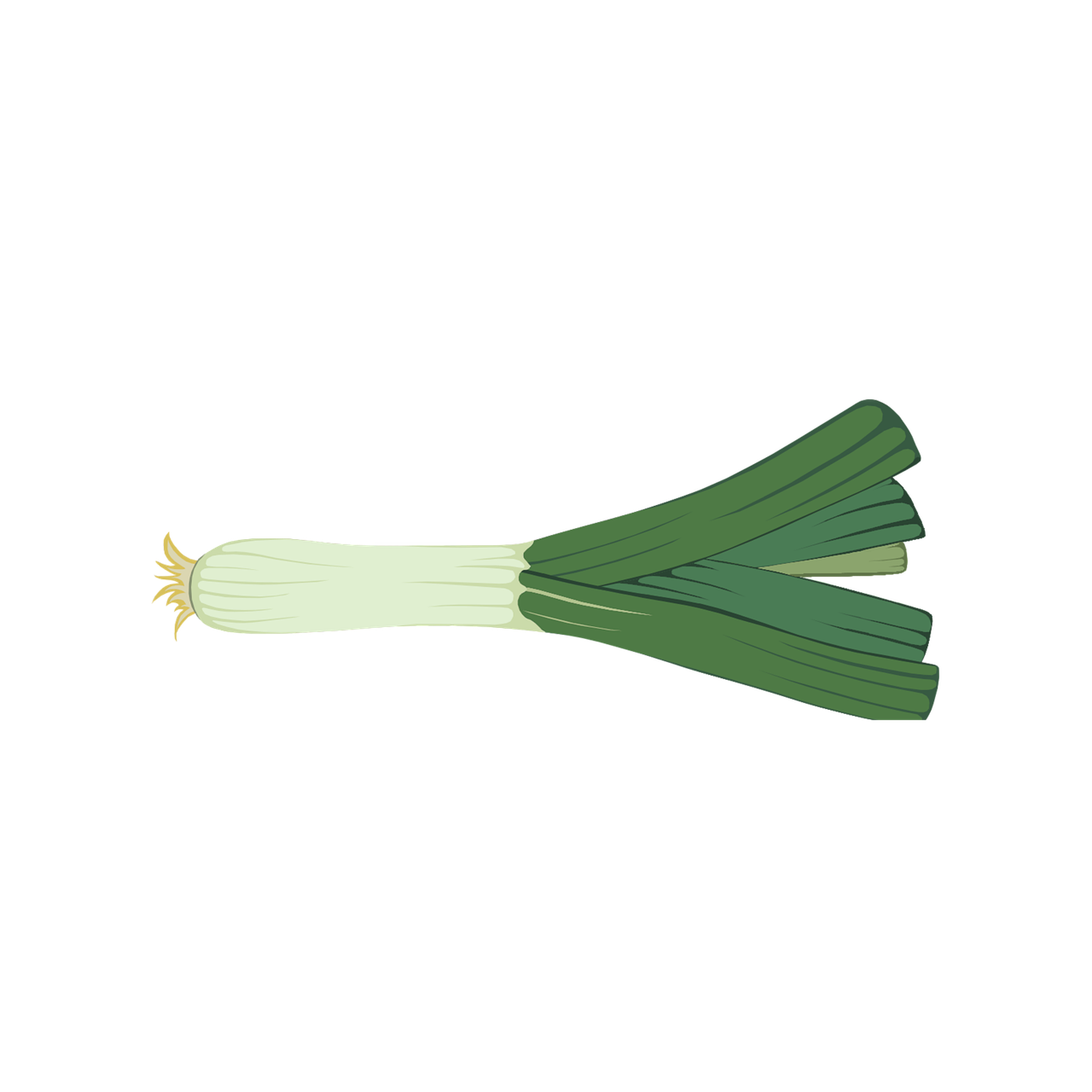Leek 桌布 壁紙 — 一個插圖風格的青蔥，白色蔥頭和綠色蔥莖，黑色背景。