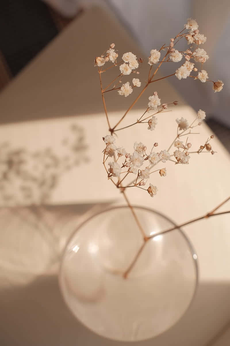 一個插著花的花瓶 壁紙
