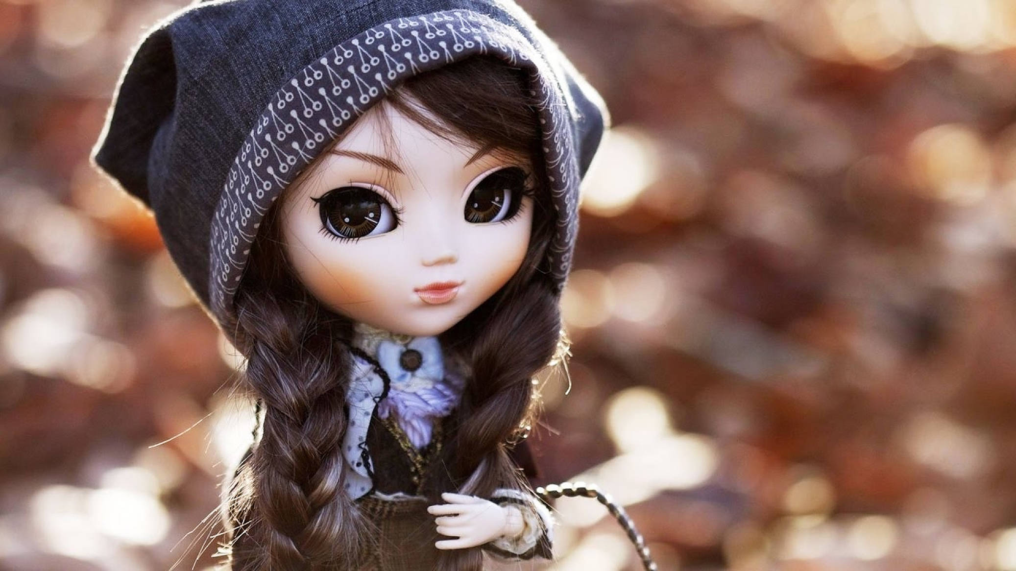 Doll 桌布 壁紙 — 一個擁有棕色大眼睛和辮子頭髮的洋娃娃，戴著灰色連帽帽子，背景是模糊的秋葉。