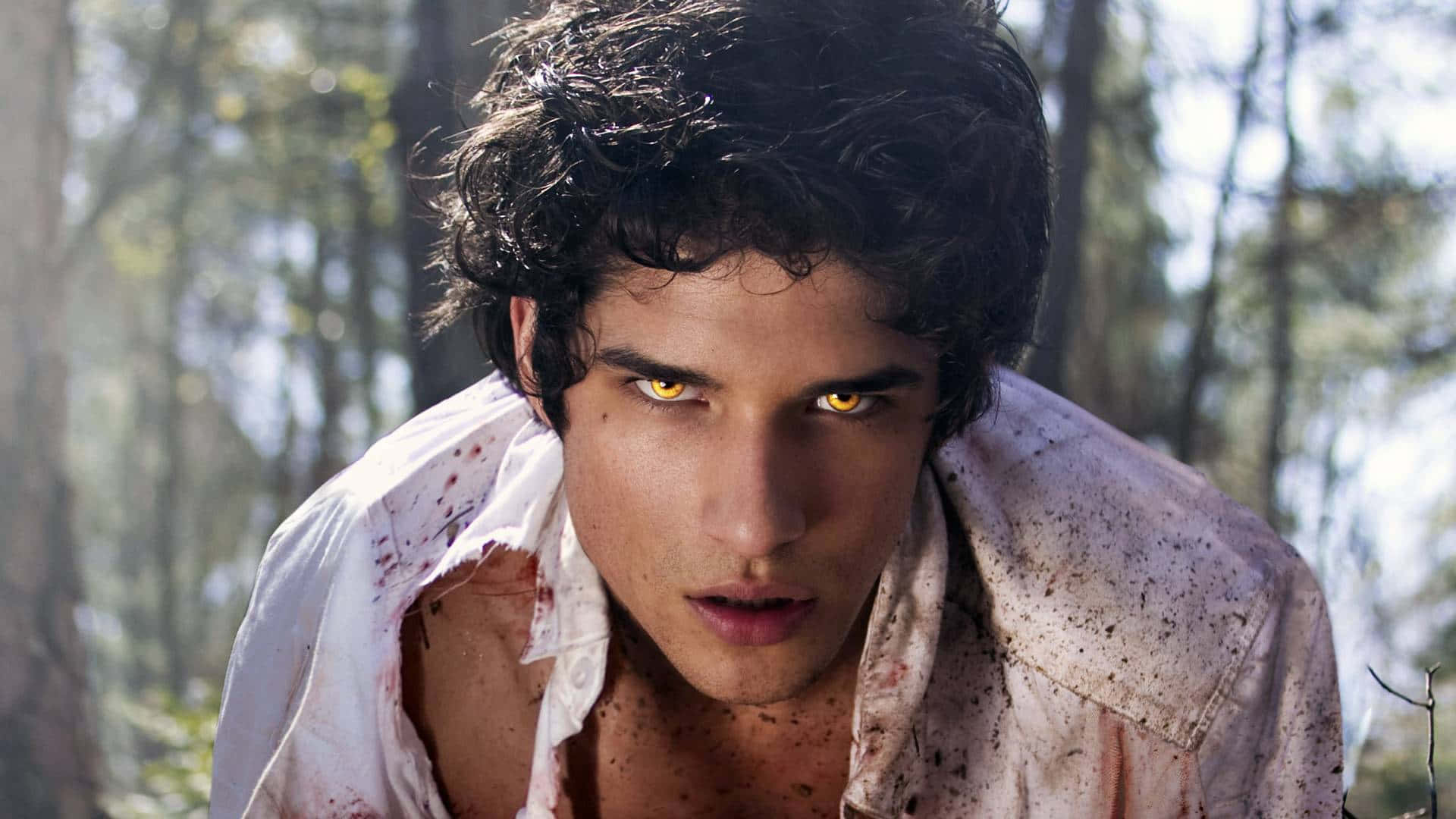 teen wolf 桌布 壁紙 — 一個擁有發光黃色眼睛和血跡斑斑襯衫的男人在陽光明媚的森林中凝視。