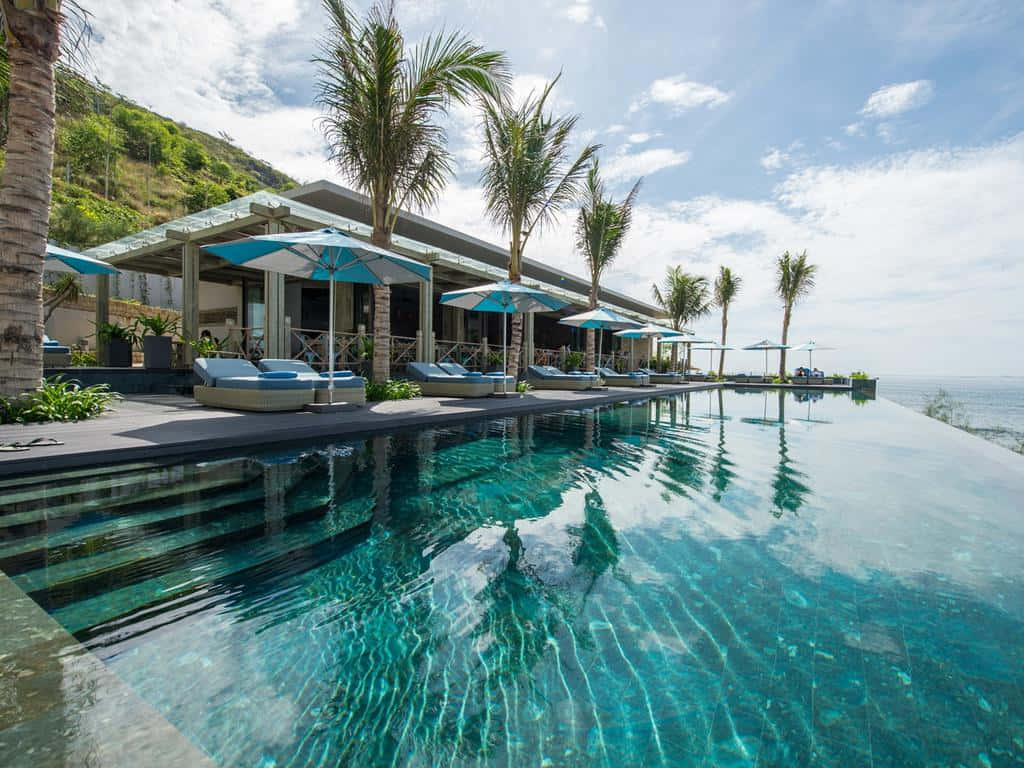 Vacation 桌布 壁紙 — 一個擁有碧綠海水的無邊際泳池，在棕櫚樹和躺椅點綴的明亮天空下，與海洋無縫融合。