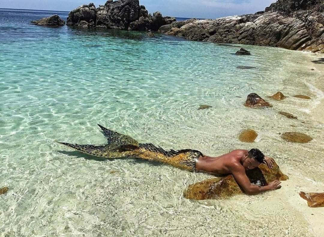 美人魚 桌布 壁紙 — 一個擁有精緻美人魚尾巴的人，在陽光明媚的熱帶海灘上休息，周圍有清澈的碧綠海水和岩石突出。