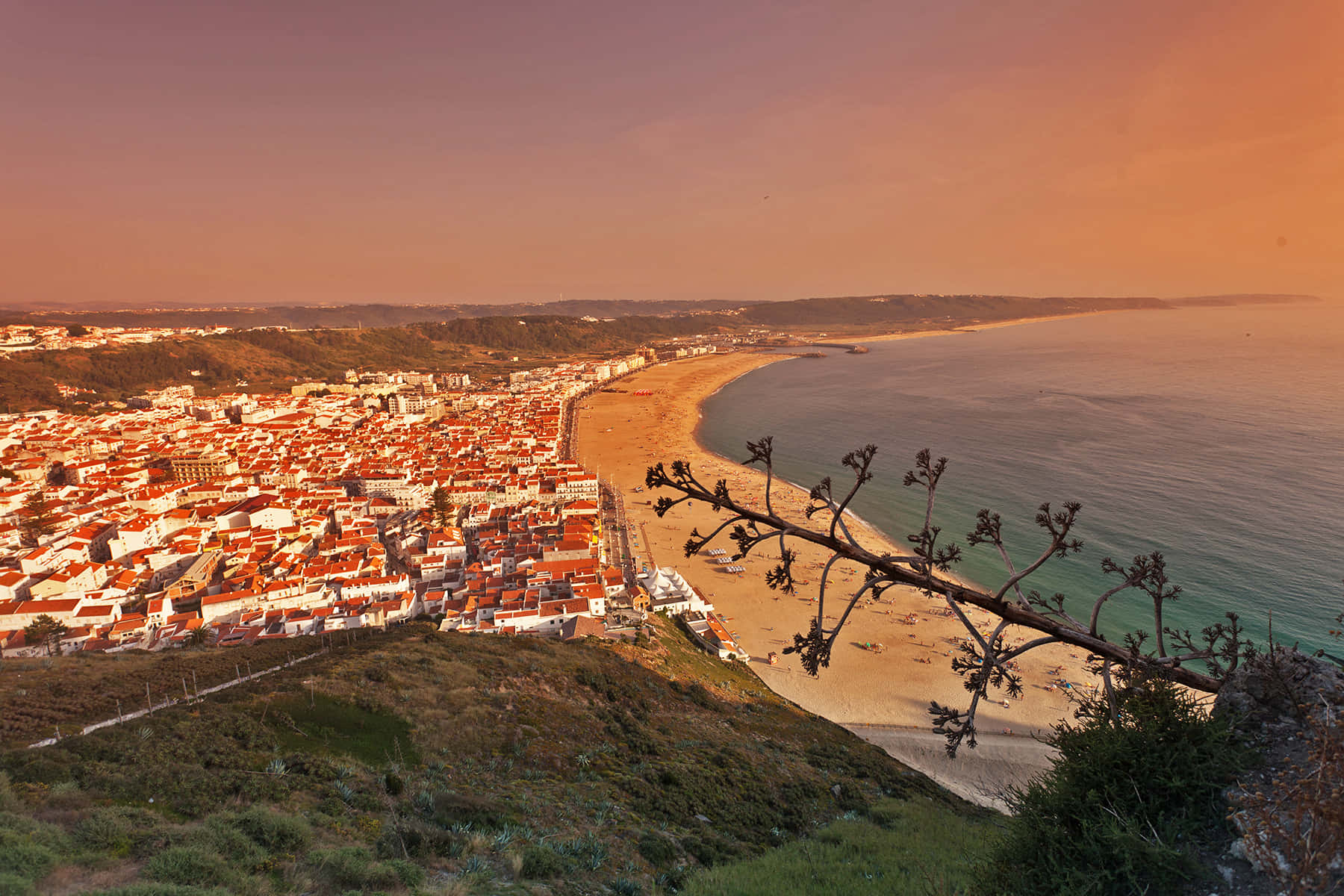 Portuguese Beach 桌布 壁紙 — 一個擁有紅瓦屋頂的海岸小鎮，在金色日落時分擁抱著沙灘，前景的樹枝框住了景色。