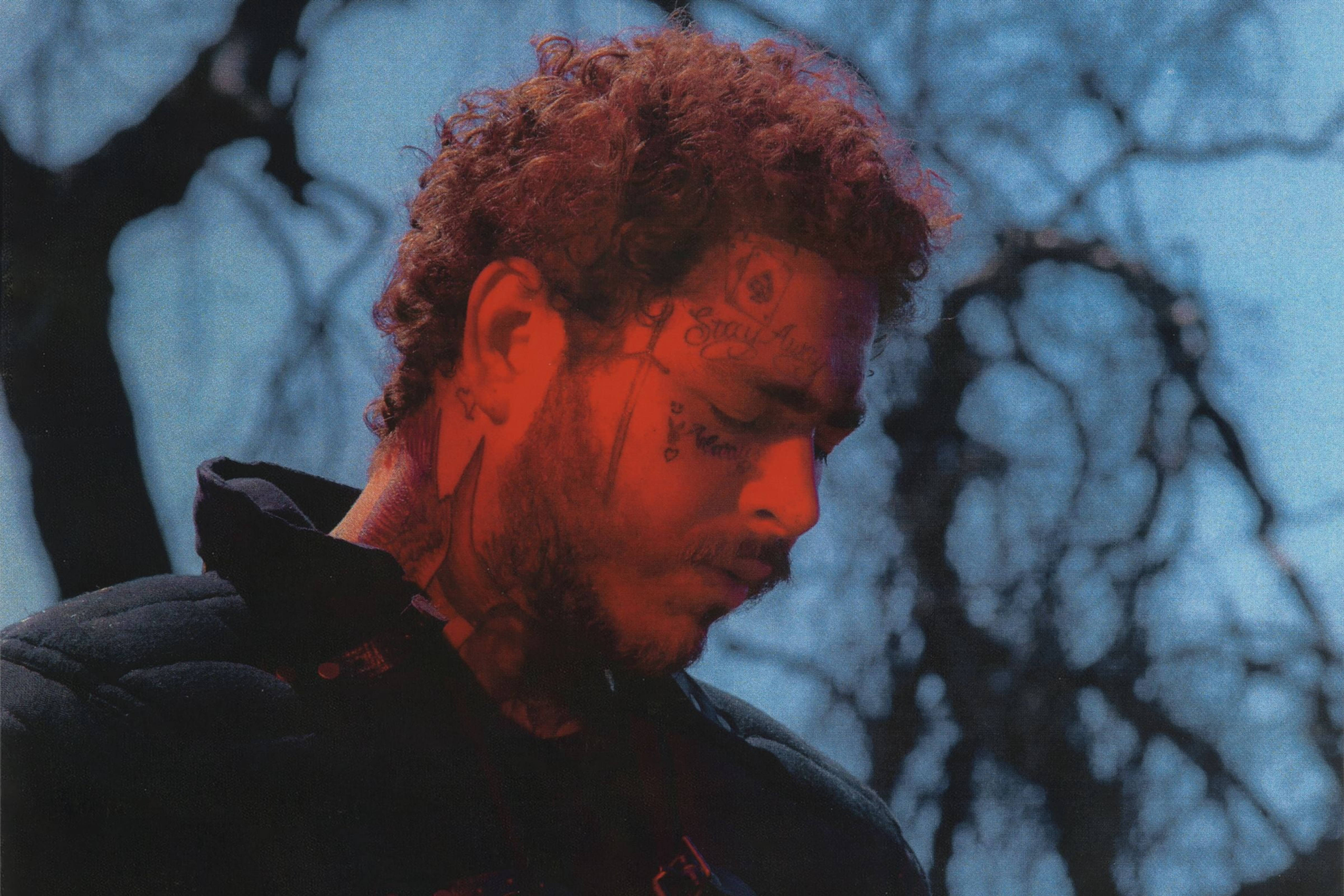 Post Malone 桌布 壁紙 — 一個擁有紅色捲髮和刺青的男人，在光禿禿的樹木背景下，在清涼的藍天下俯視。