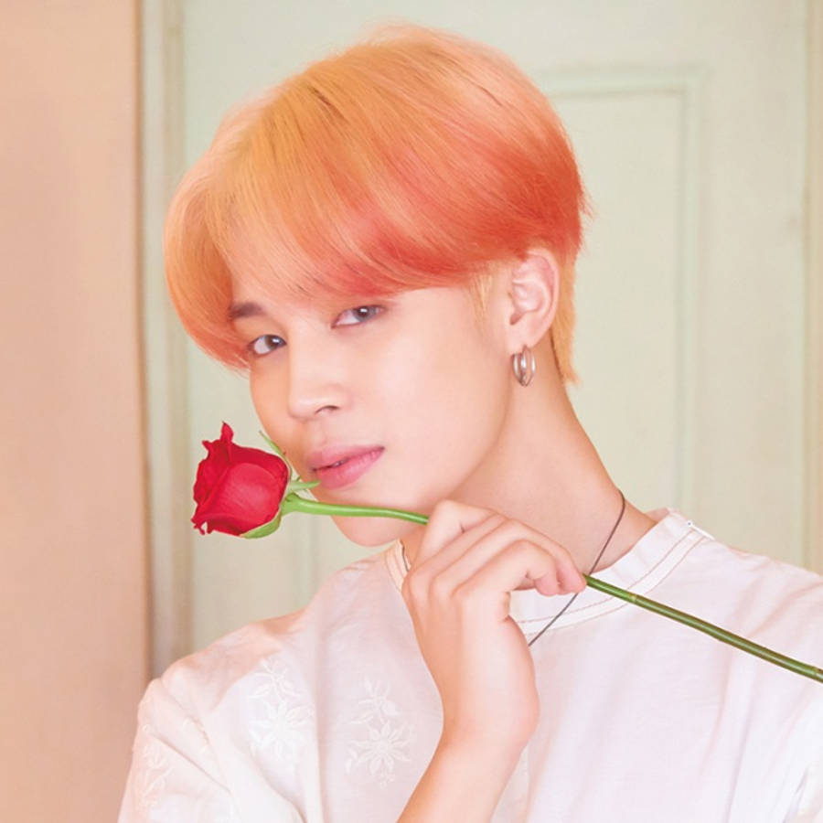 BTS 智旻 桌布 壁紙 — 一個擁有鮮豔橙色頭髮的人，在柔和粉彩背景前，將一朵紅玫瑰靠近嘴唇。