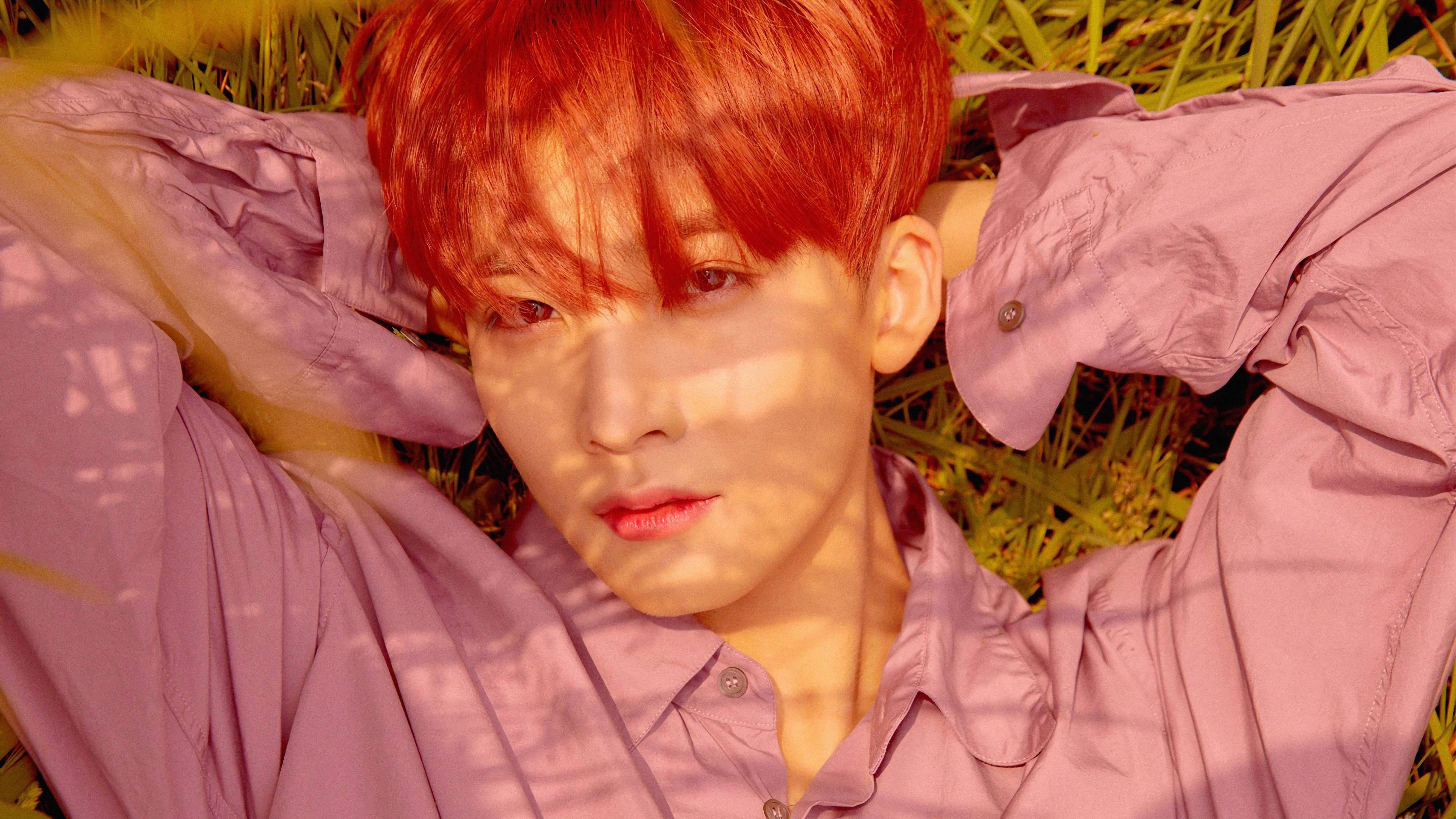 yoon jeonghan 桌布 壁紙 — 一個擁有鮮豔紅髮的人躺在草地上，穿著薰衣草色襯衫，沐浴在斑駁的陽光下。