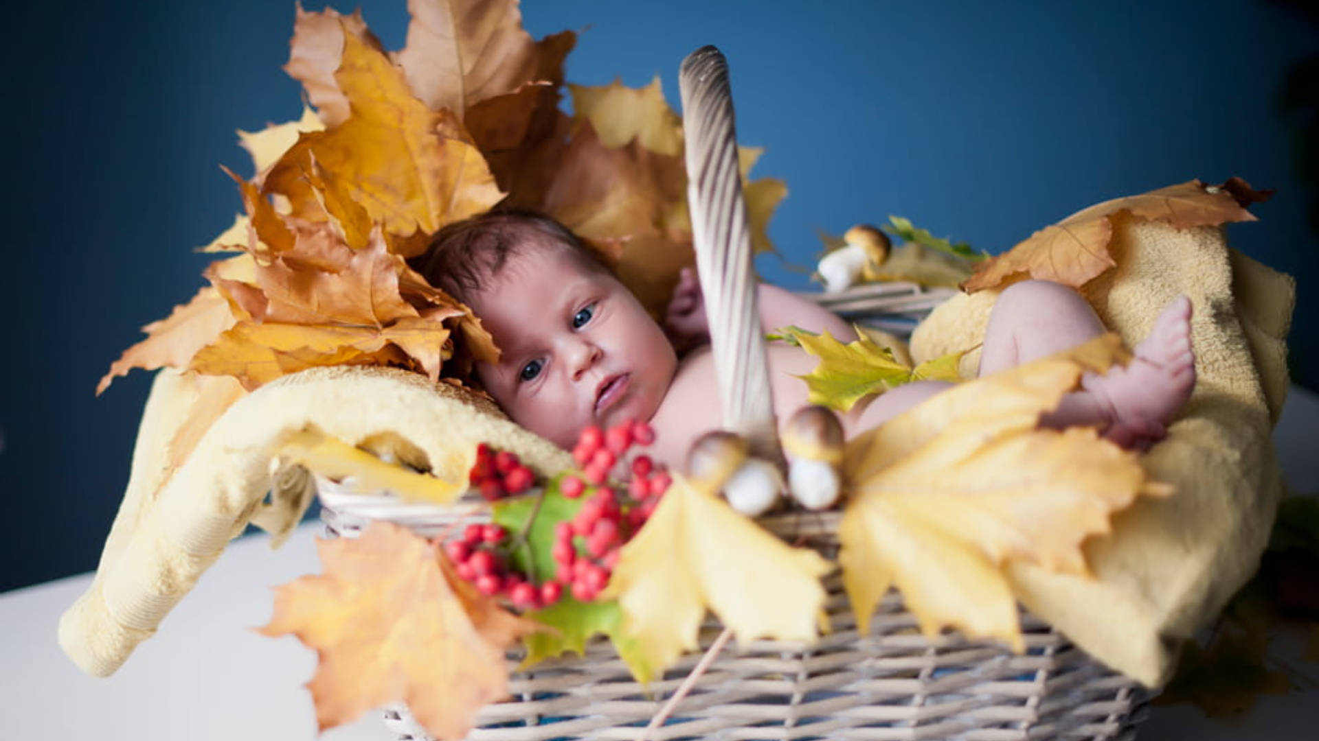 Autumn Leaves 桌布 壁紙 — 一個新生嬰兒在一個柳條籃中休息，周圍環繞著秋天的樹葉、紅色漿果和蘑菇，背景是深藍色。