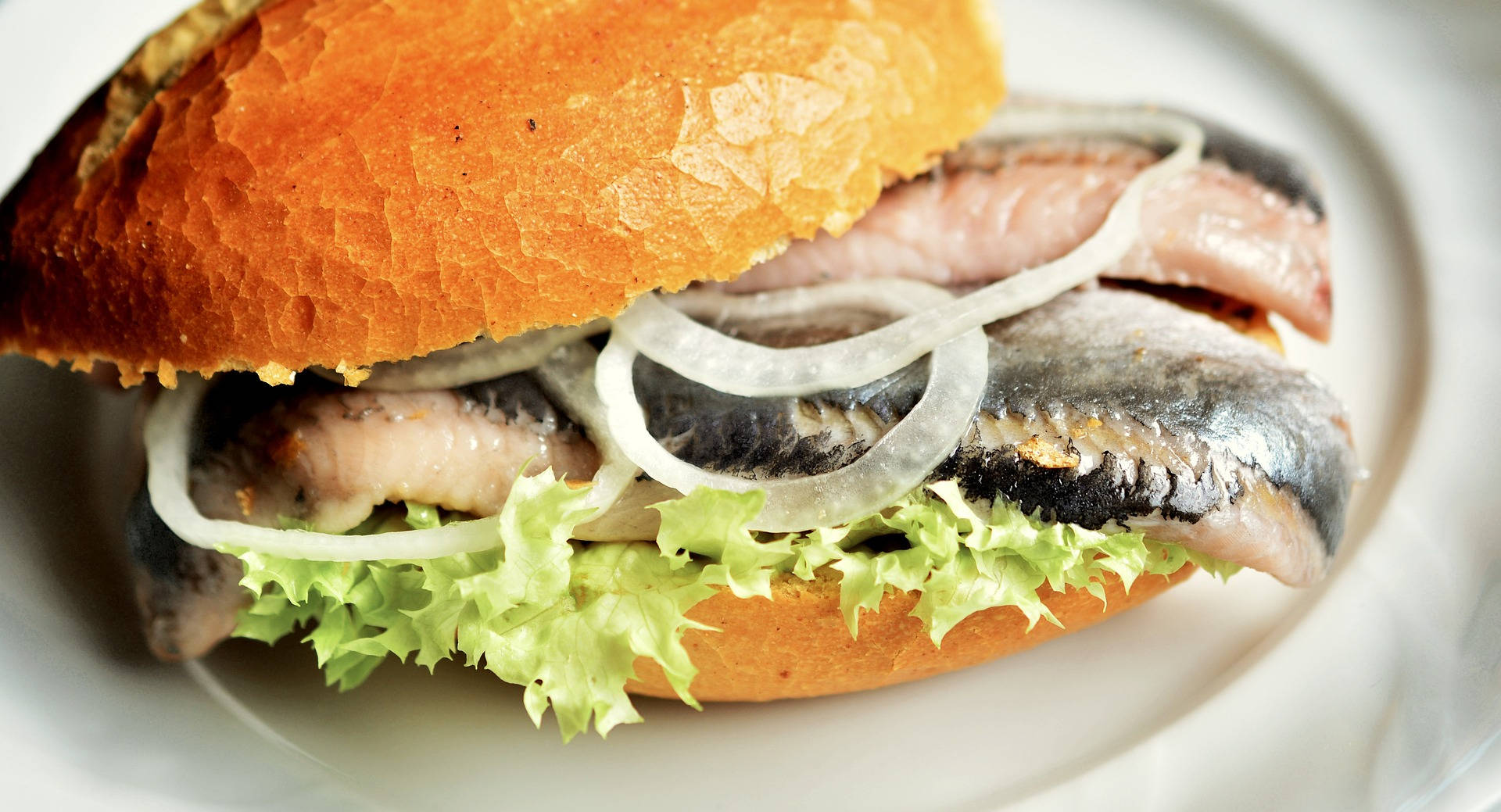 hamburglar 桌布 壁紙 — 一個新鮮三明治的特寫，有沙丁魚、生菜和洋蔥，放在白色盤子上。