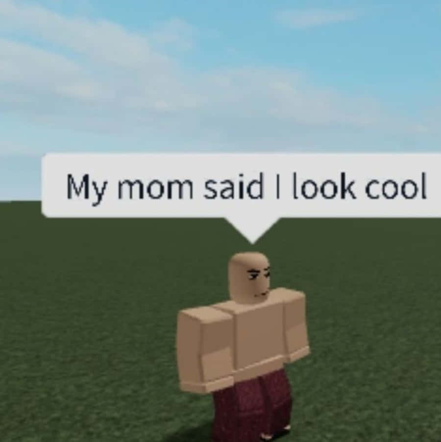 Roblox Boy 桌布 壁紙 — 一個方塊狀的 Roblox 角色站在藍天下的綠色草地上，對話框寫著「我媽媽說我看起來很酷」。