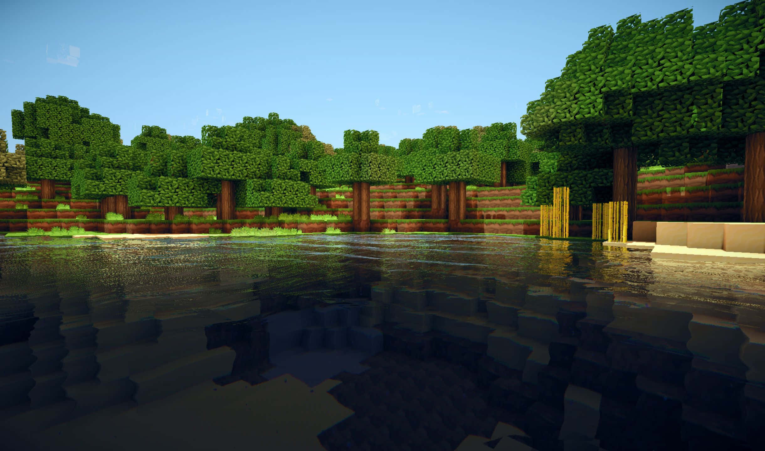 2440x1440 桌布 壁紙 — 一個方塊狀的Minecraft森林，有像素化的樹木和水面反射清澈的藍天。