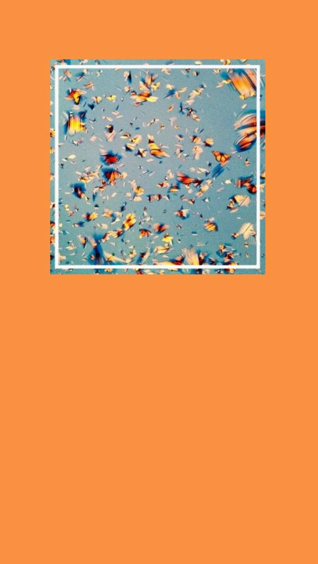 Vsco 桌布 壁紙 — 一個方形框架內有彩色蝴蝶碎片，漂浮在純橙色背景上。