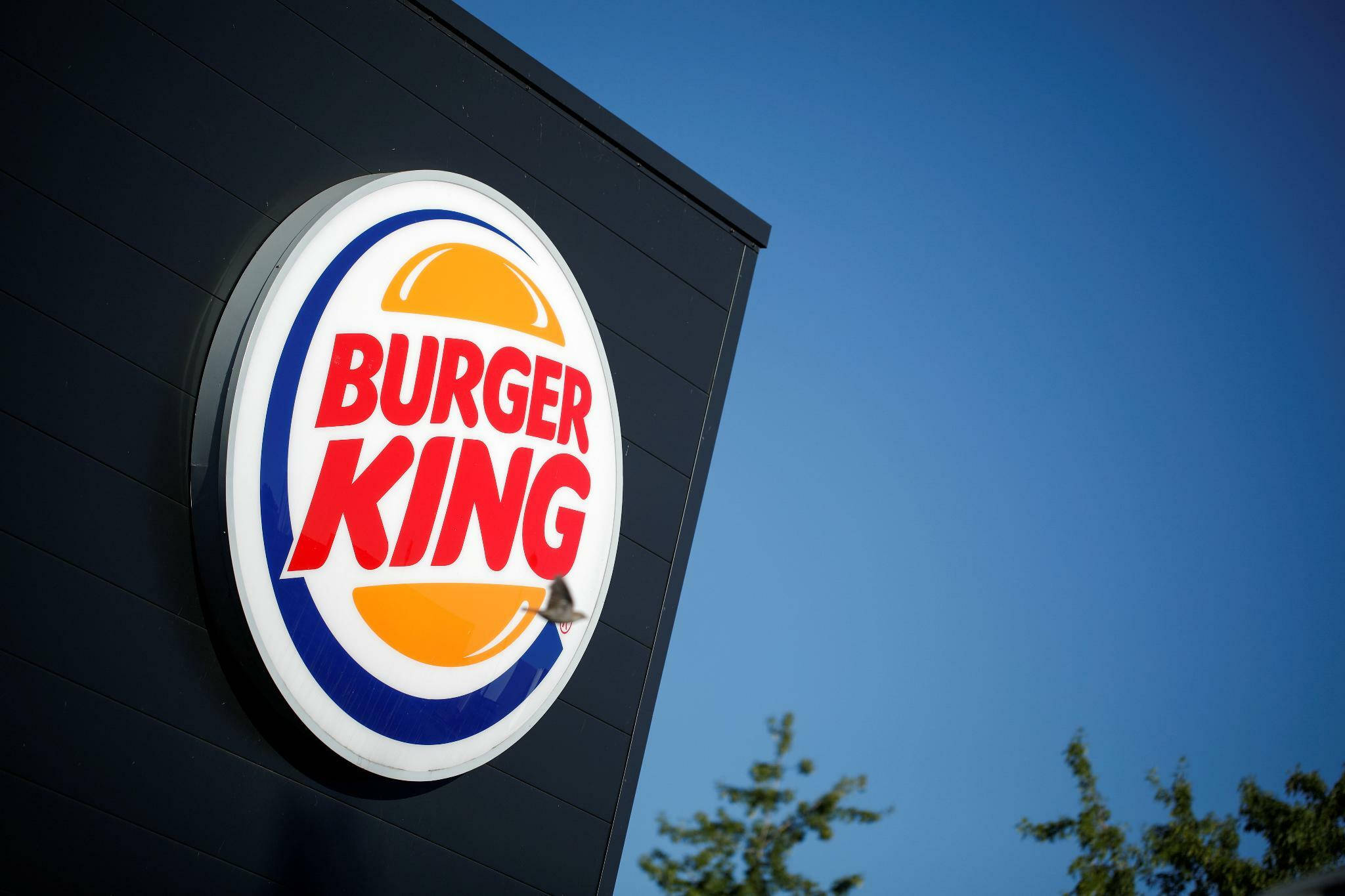 Burger 桌布 壁紙 — 一個明亮的Burger King標誌招牌安裝在黑色建築物上，背景是清澈的藍天，樹梢清晰可見。
