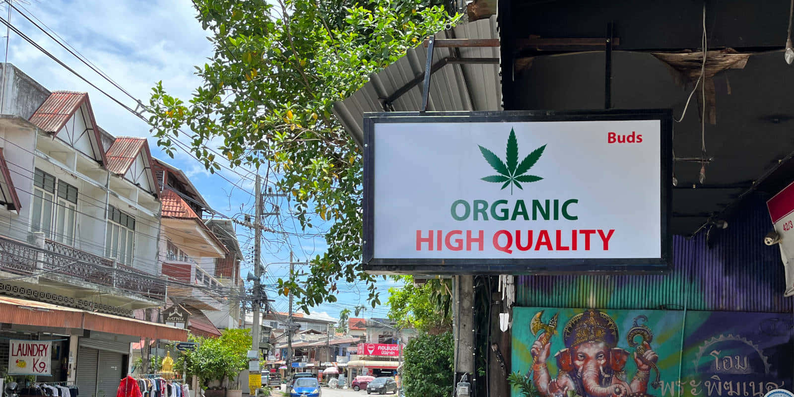 大麻 桌布 壁紙 — 一個明亮的招牌，宣傳有機高品質花蕾，掛在一條色彩繽紛的建築物和茂密綠樹成蔭的街道上方，在晴朗的藍天下。