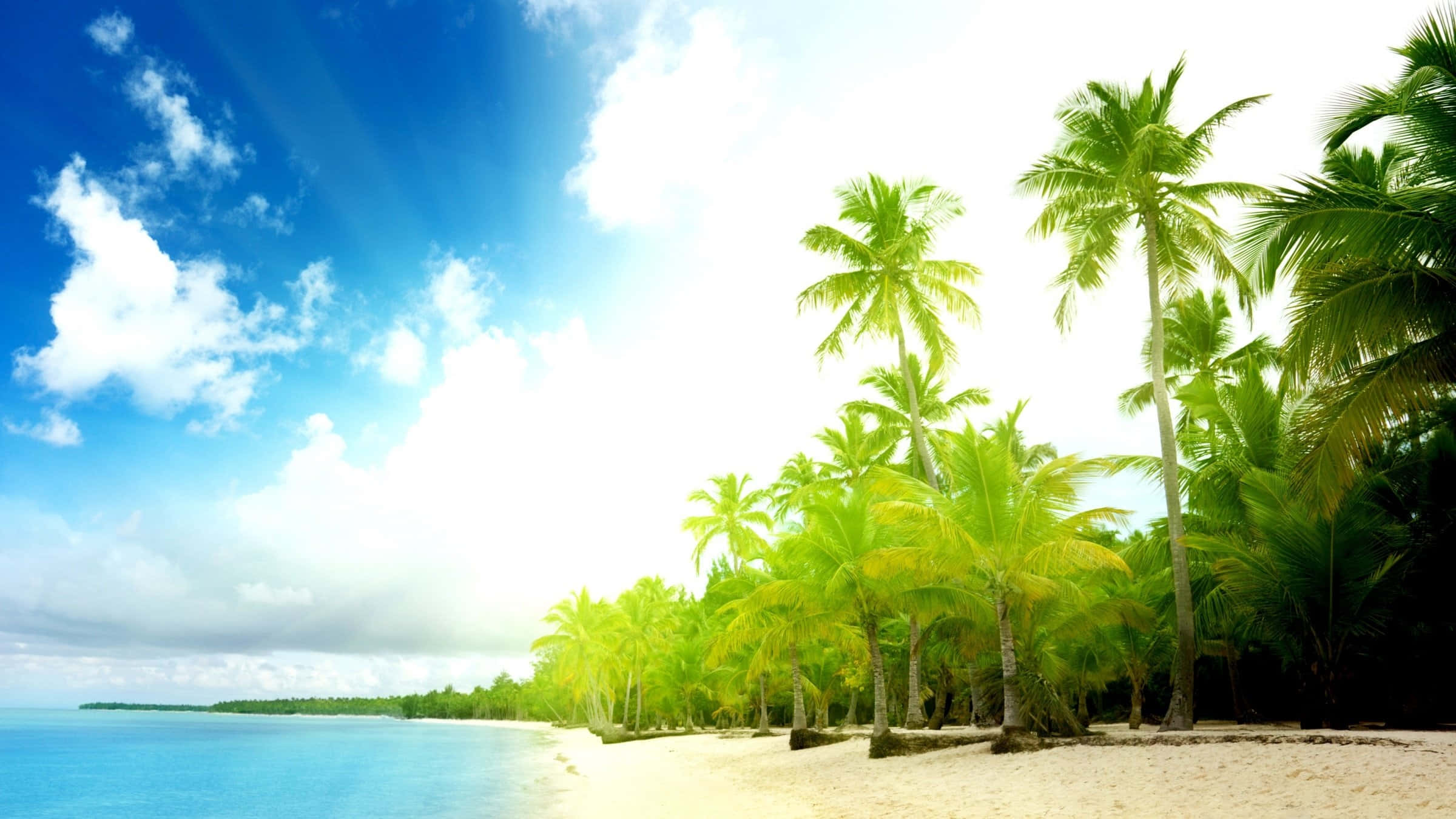 Palm Tree Beach 桌布 壁紙 — 一個明亮的熱帶海灘，有白色沙灘、碧綠海水和高大的綠色棕櫚樹，在蔚藍的天空下，飄著蓬鬆的白雲。