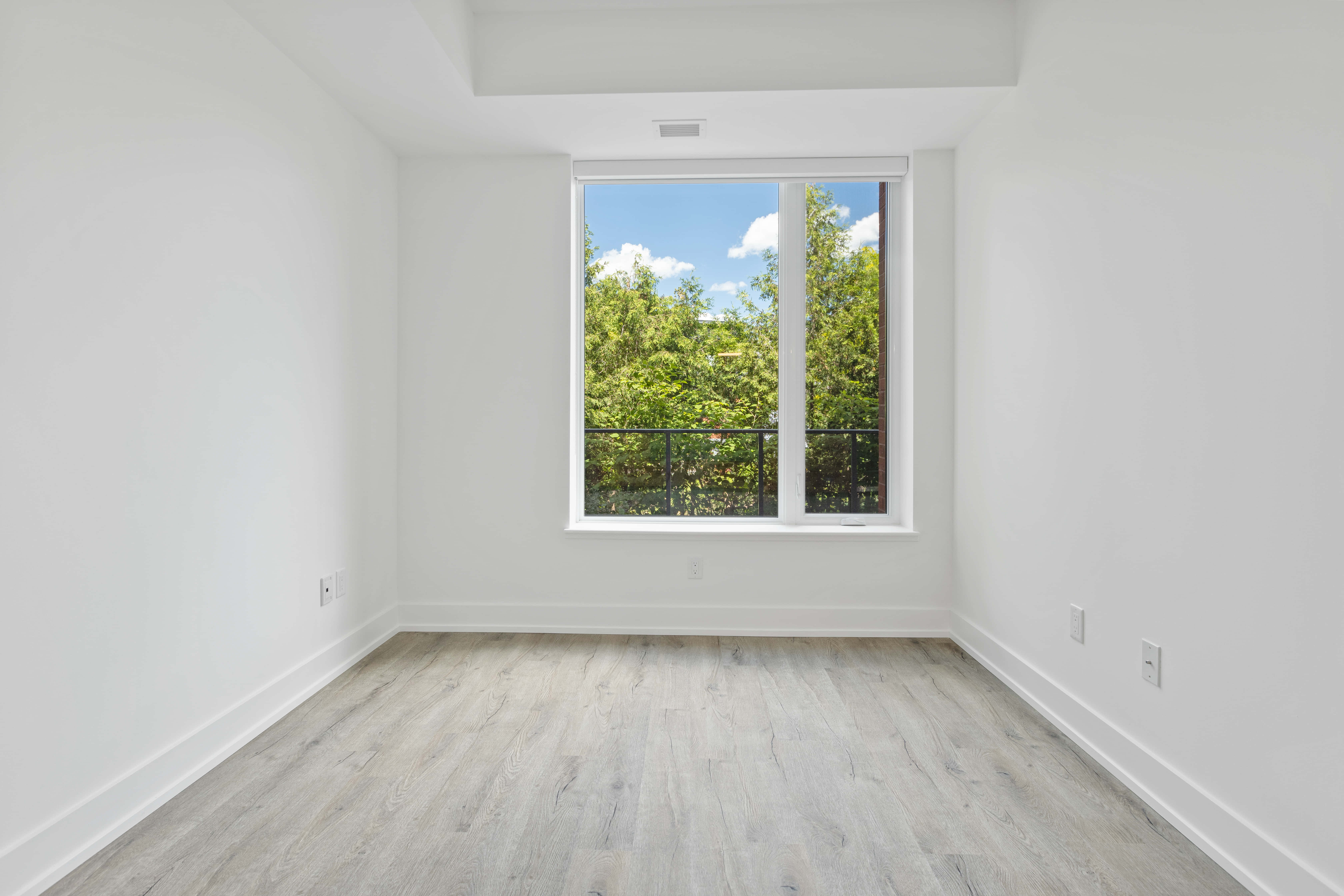 Empty Room 桌布 壁紙 — 一個明亮的空房間，白色牆壁和淺色木地板，有一扇大窗戶，框住了藍天白雲下茂密的綠樹。