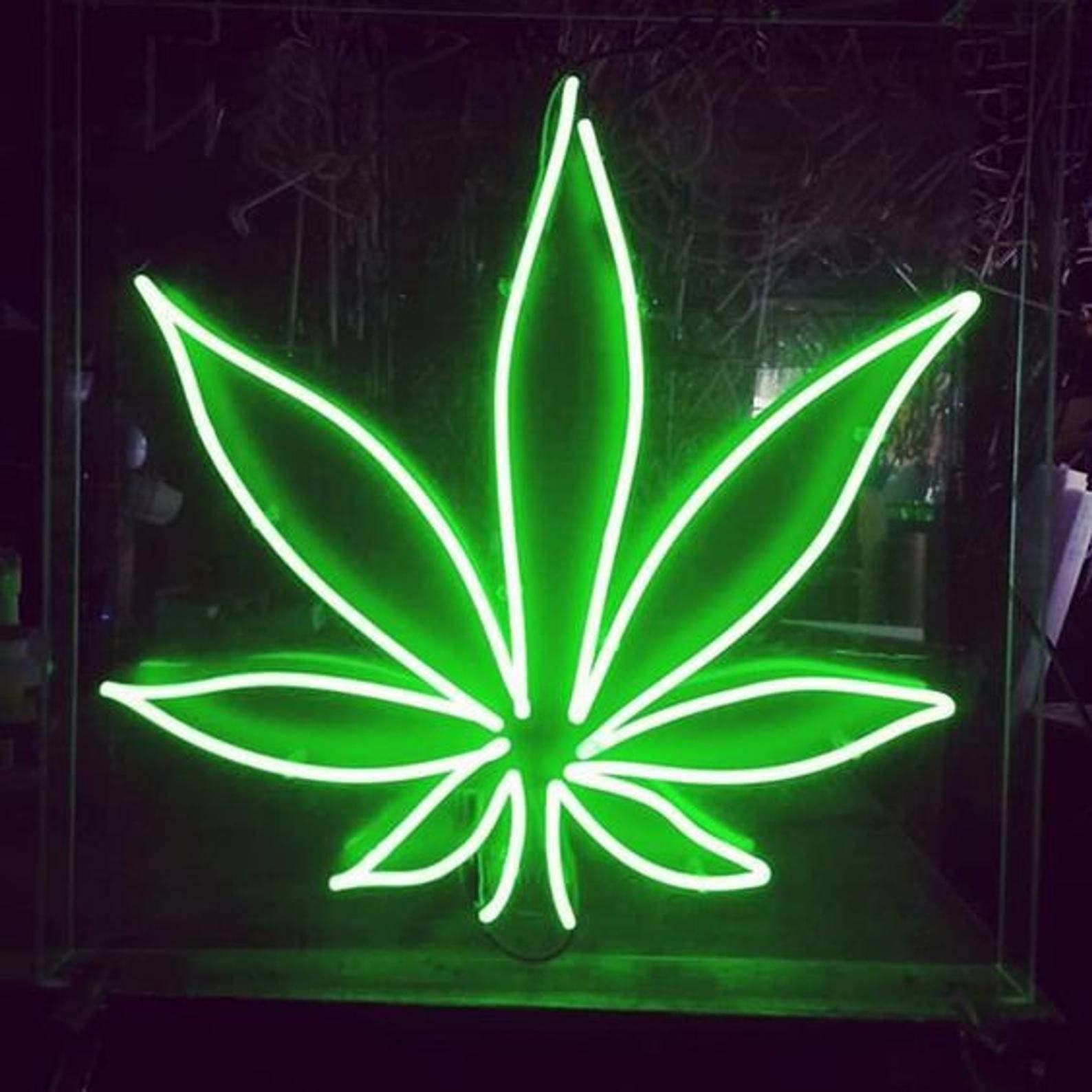 weeds 桌布 壁紙 — 一個明亮的綠色霓虹燈大麻葉標誌在黑暗背景上帶有微弱反射，生動地發光。