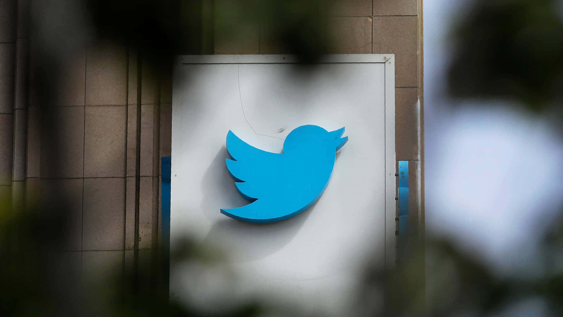 Twitter 桌布 壁紙 — 一個明亮的藍色Twitter鳥標誌安裝在白色面板上，背景是瓷磚牆，周圍是模糊的綠色樹葉。