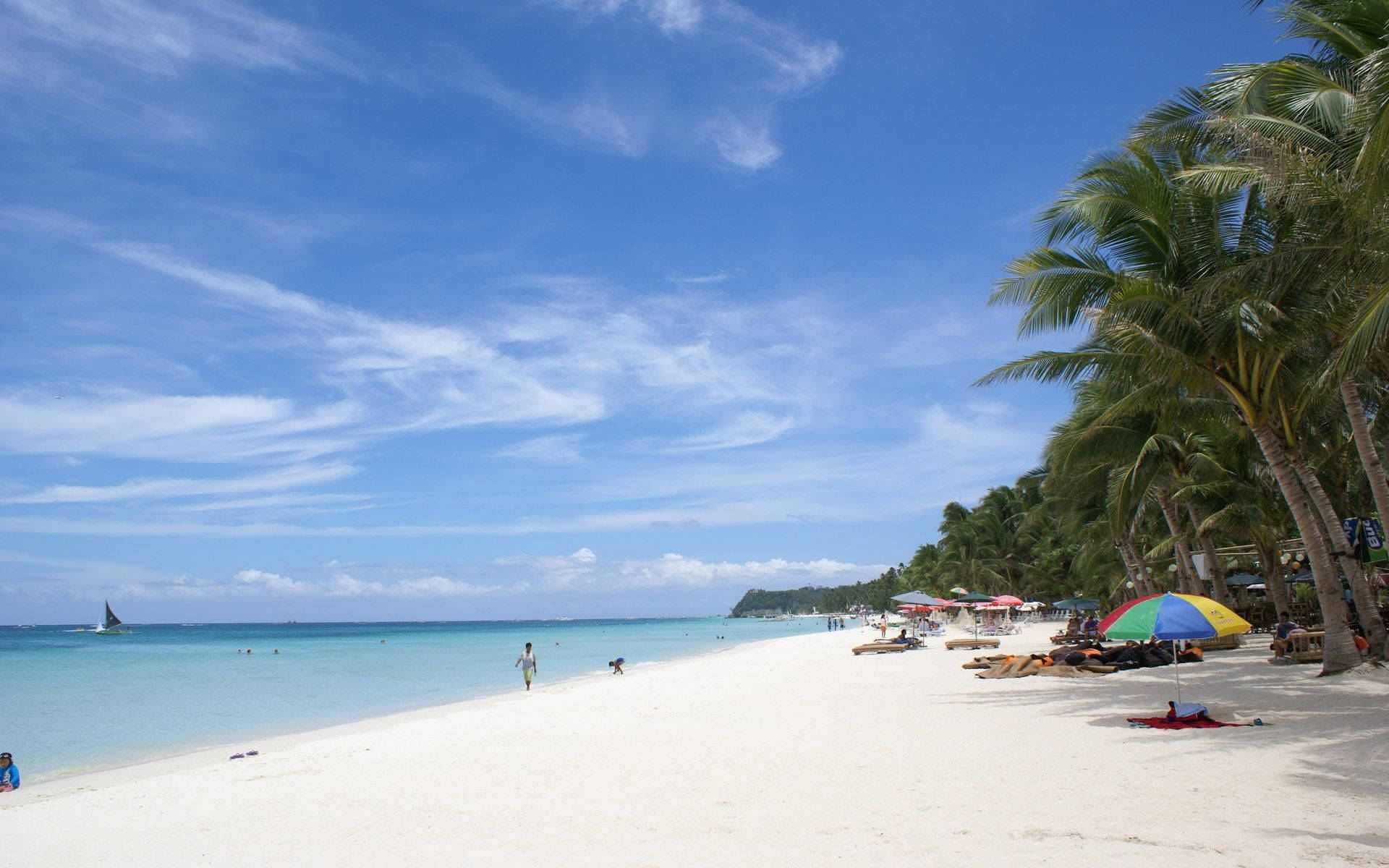 Philippines 桌布 壁紙 — 一個明亮陽光明媚的海灘，有白色沙灘、碧綠海水、棕櫚樹和色彩繽紛的遮陽傘，在藍天白雲下。
