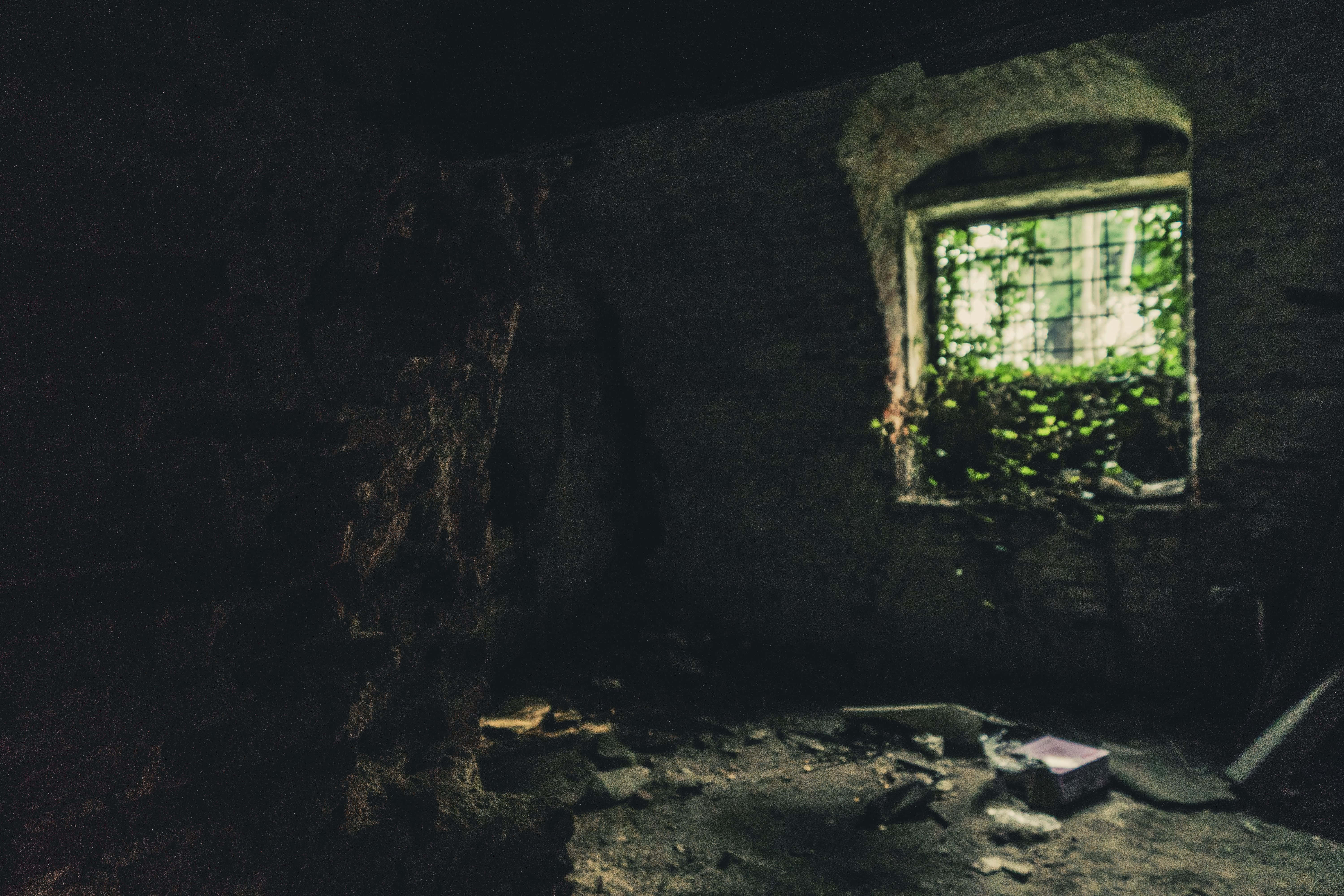 Dark Room 桌布 壁紙 — 一個昏暗的廢棄房間，磚牆剝落，只有一扇窗戶讓外面茂密植物的綠光照進來。
