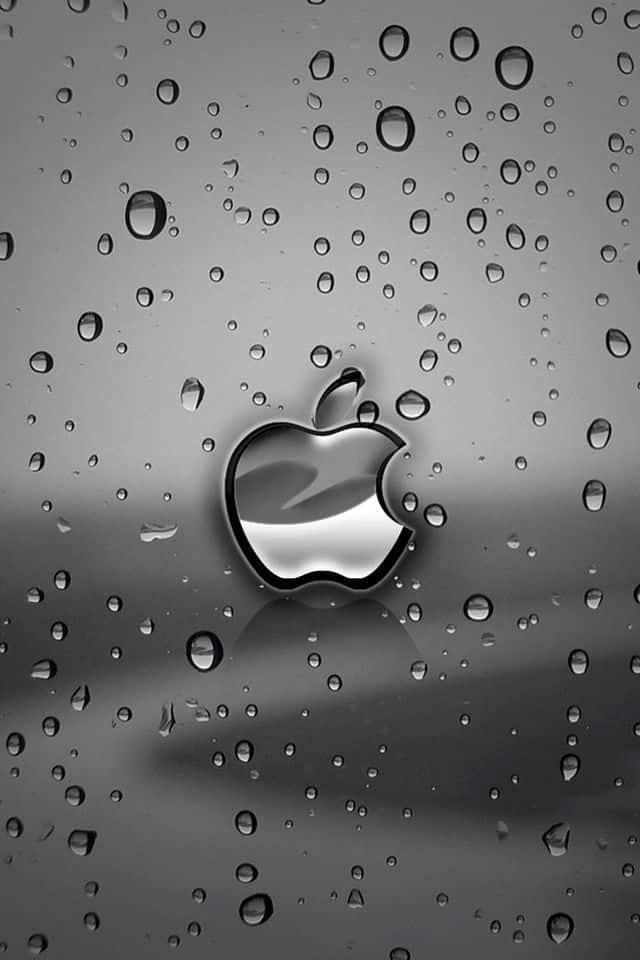 iOS 4 桌布 壁紙 — 一個時尚的Apple標誌在玻璃表面上的雨滴下閃耀，背景為單色漸變。