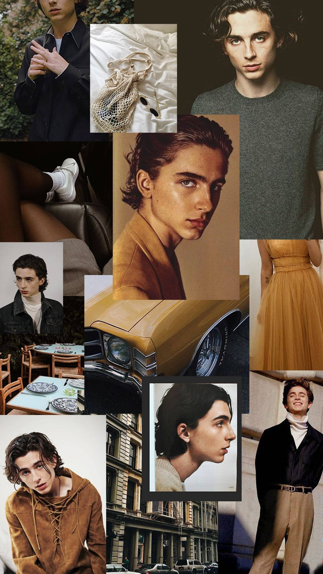 Timothée Chalamet 桌布 壁紙 — 一個時尚的拼貼畫，展示一位年輕男子穿著各種服裝和場景，包括街景、復古汽車和時尚時刻。