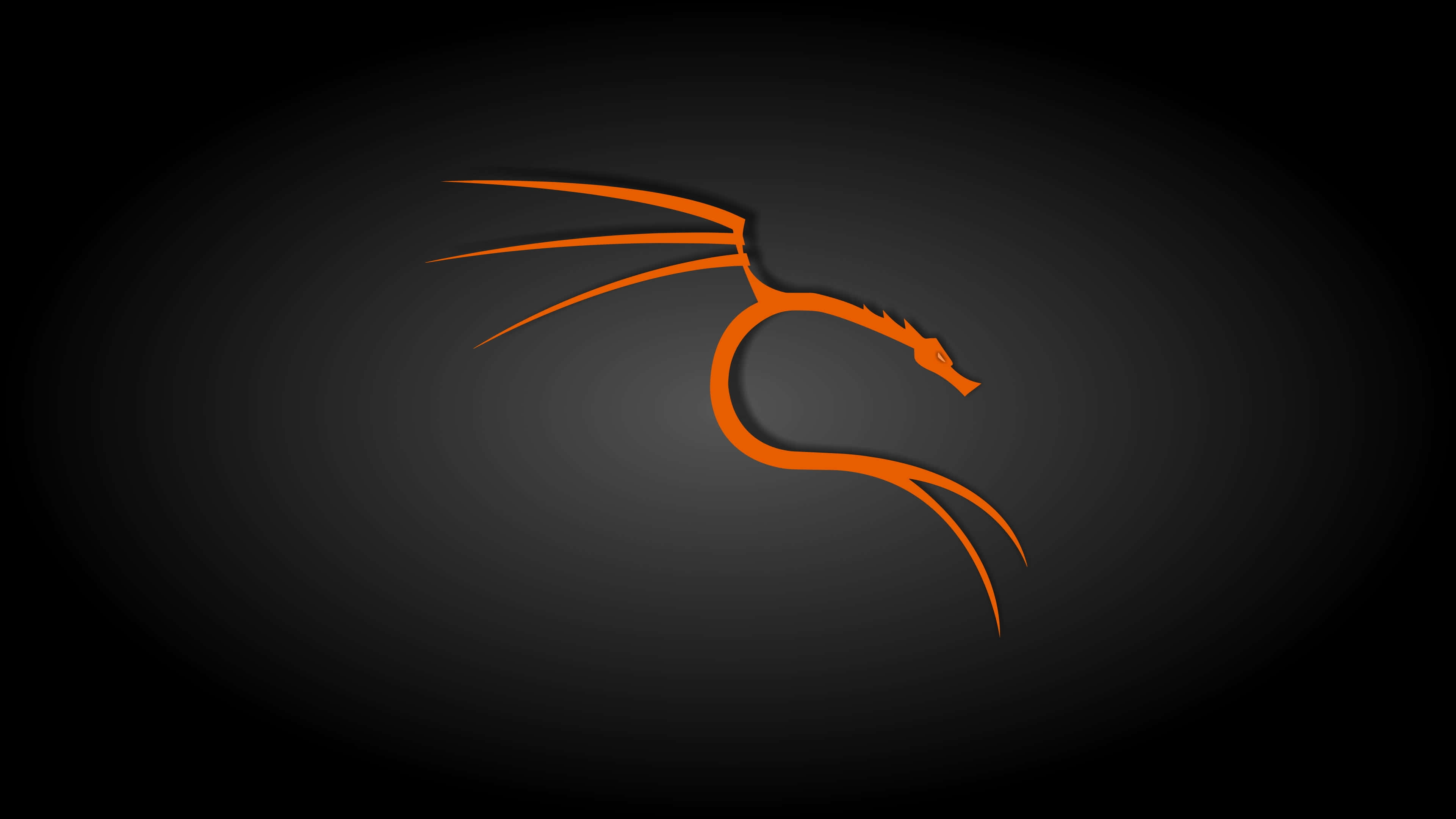 Kali Linux 桌布 壁紙 — 一個時尚的橙色龍標誌在深色漸變背景上發光，帶有柔和的徑向照明。