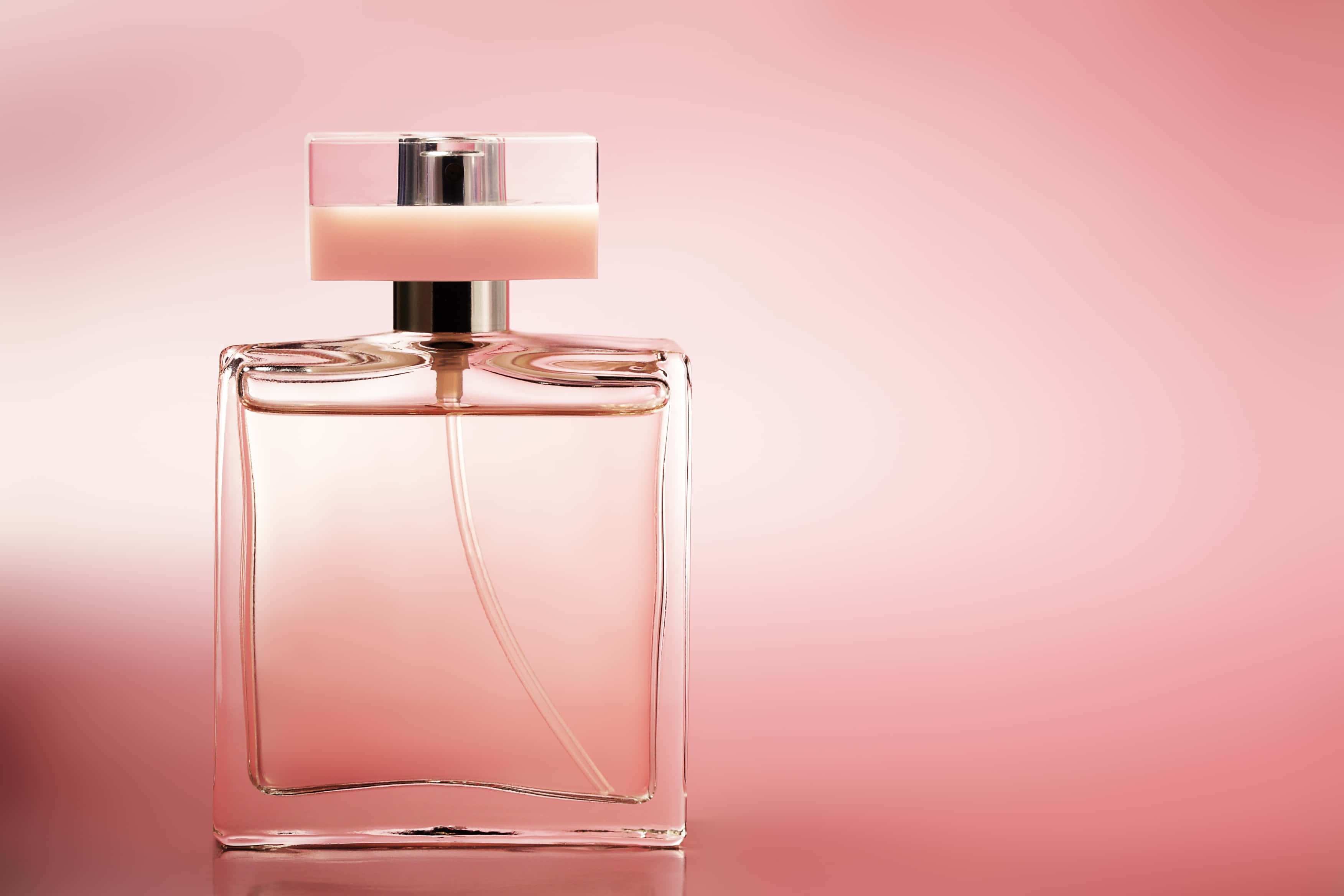 perfume 桌布 壁紙 — 一個時尚的玻璃香水瓶，帶有銀色瓶蓋，置於柔和的粉紅色漸變背景中央。