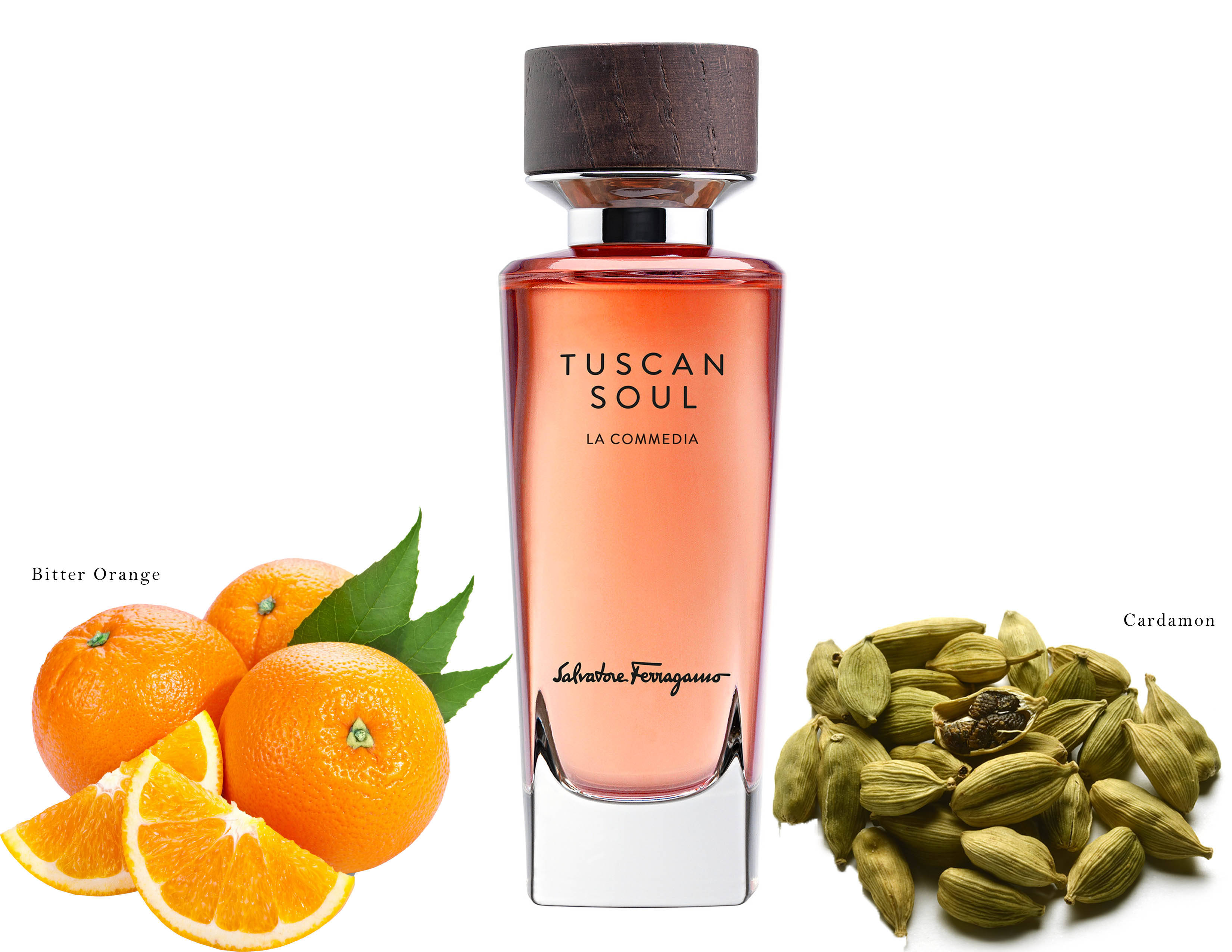 Ferragamo 桌布 壁紙 — 一個時尚的粉紅色香水瓶，標有 Tuscan Soul，兩側是苦橙和荳蔻莢，背景為白色。