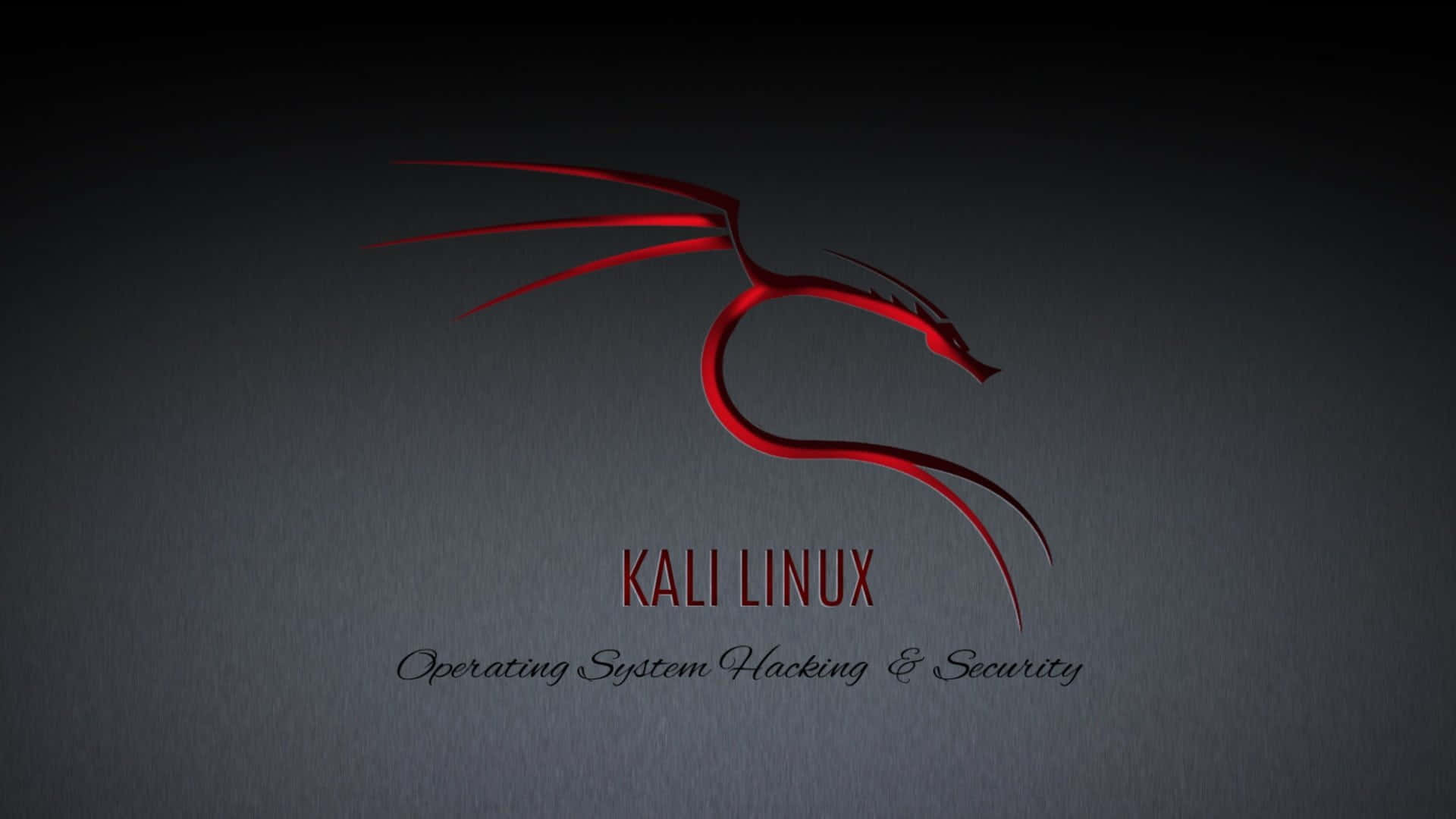 Kali Linux 桌布 壁紙 — 一個時尚的紅色龍標誌，用於 Kali Linux，在帶有微妙照明的深色紋理灰色背景上發光。