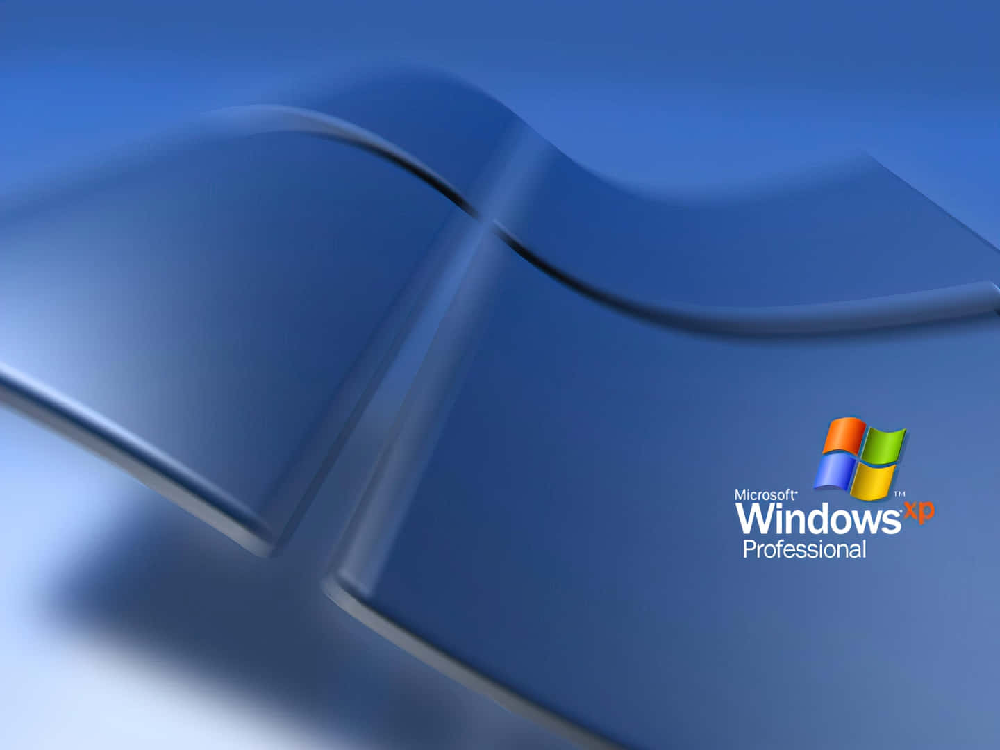  壁紙 — 一個時尚的藍色 Windows XP Professional 標誌，帶有光澤波浪設計和柔和漸變背景。