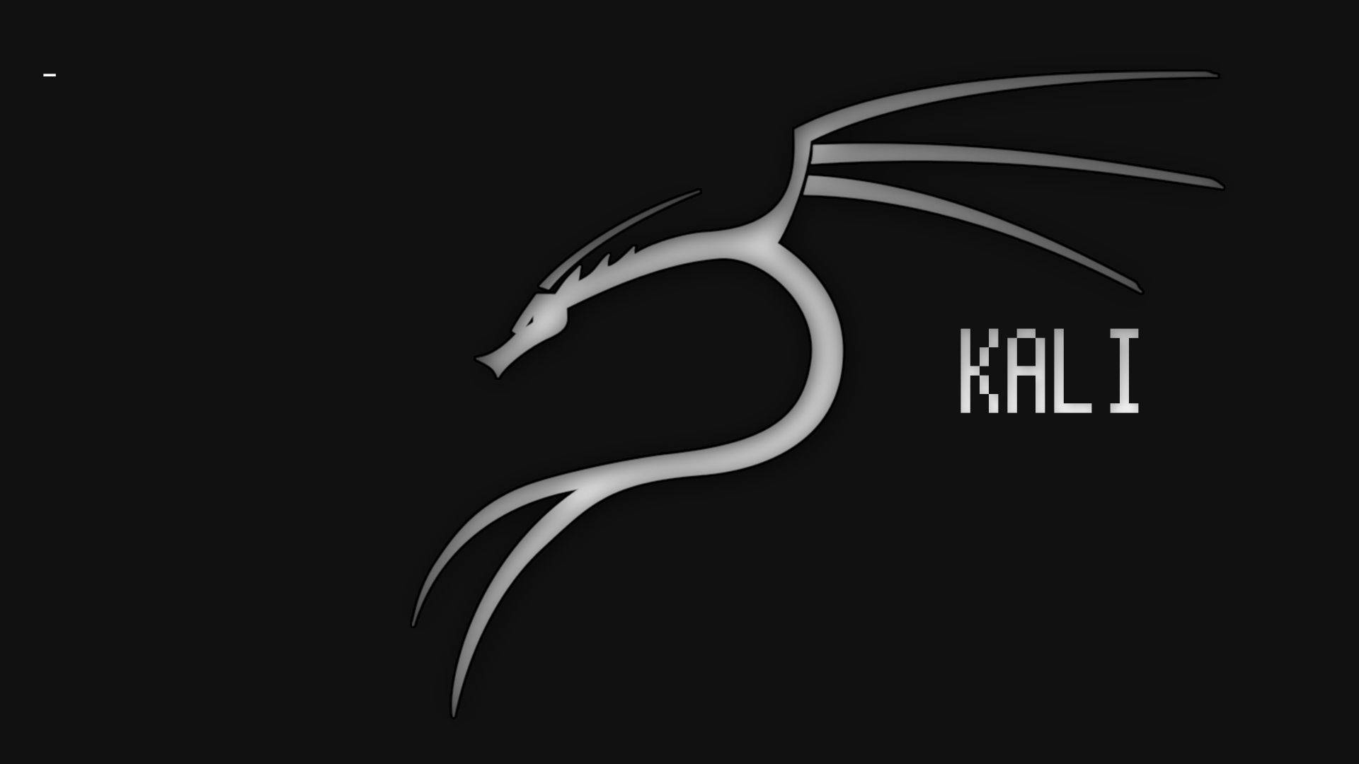 kali 桌布 壁紙 — 一個時尚的銀色龍標誌，帶有像素化的KALI文字，背景為純黑色。