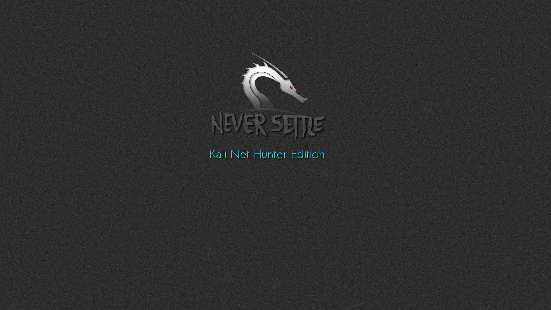 kali 桌布 壁紙 — 一個時尚的銀色龍標誌，帶有紅色眼睛和「Never Settle」文字，背景為深灰色紋理。