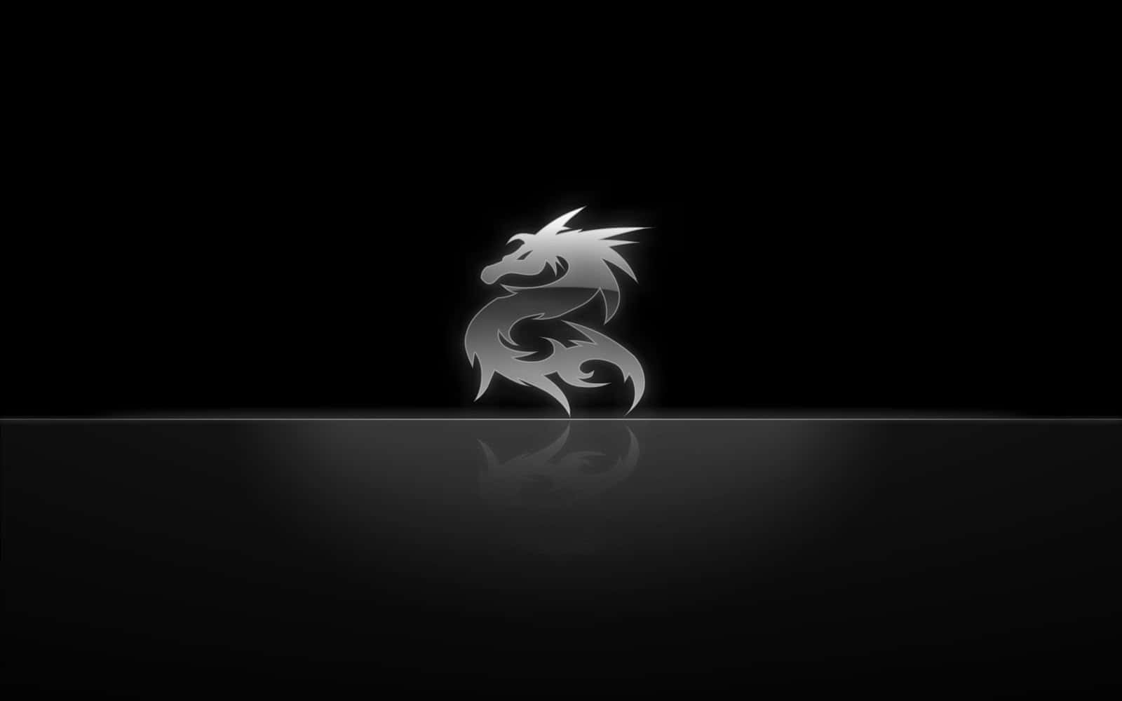 Black And Silver 桌布 壁紙 — 一個時尚的銀色龍標誌在黑色背景上發光，下方有微妙的倒影。