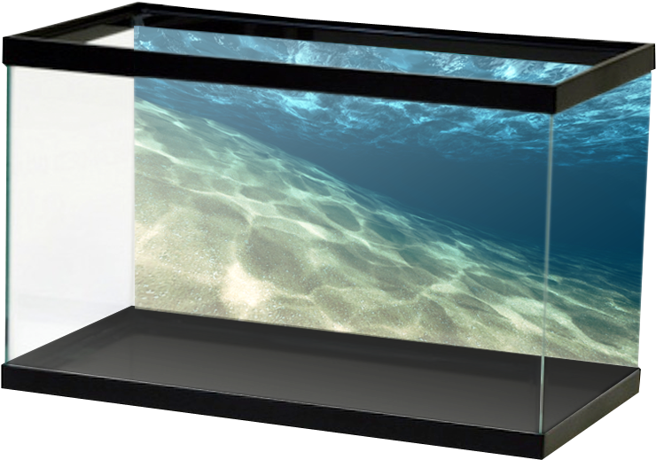 Aquarium 桌布 壁紙 — 一個時尚的黑色框架水族箱展示了一個寧靜的水下場景，有陽光照射的沙質海底和波光粼粼的藍色海水。