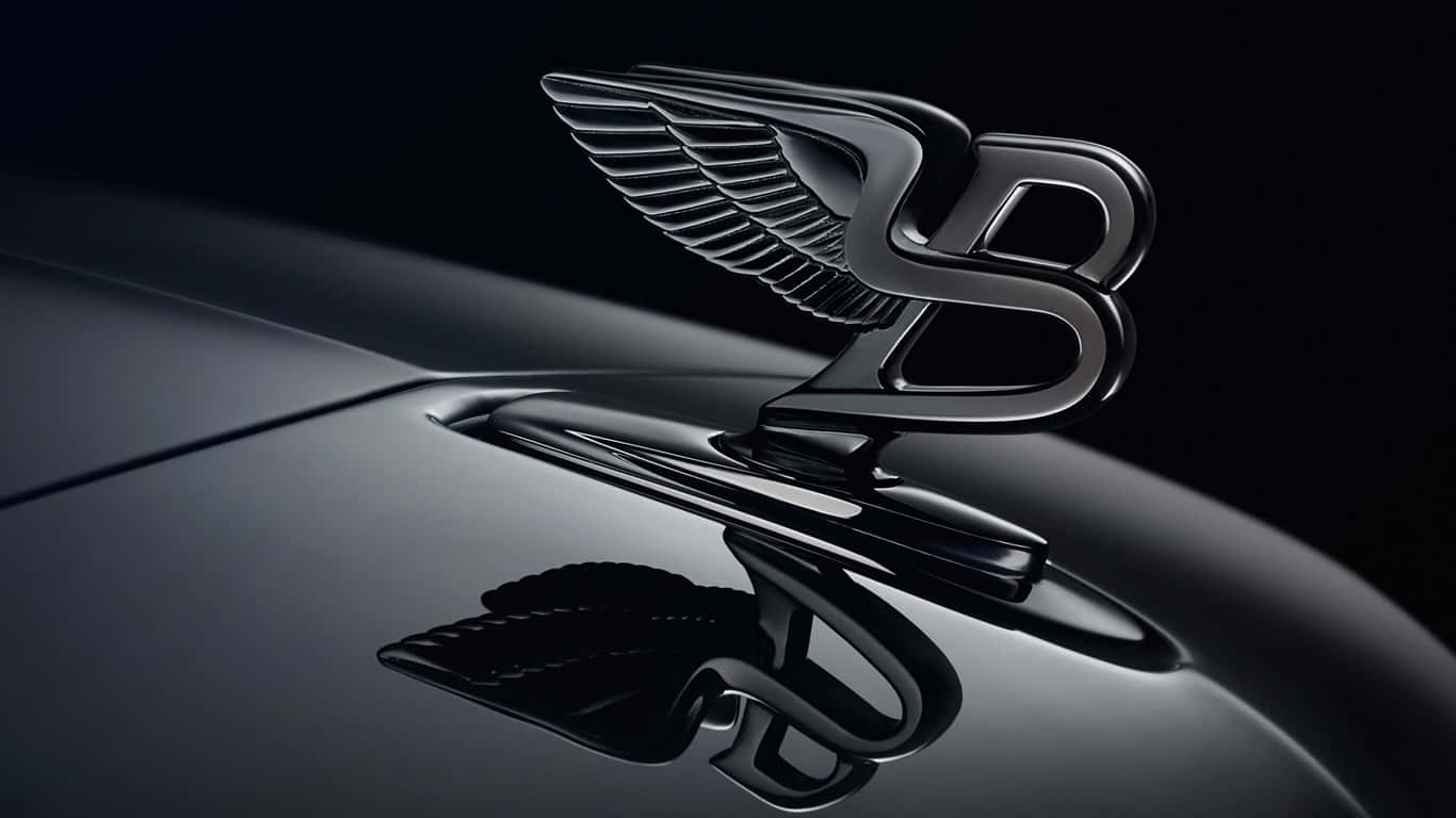 1366x768 Bentley 桌布 壁紙 — 一個時尚的黑色賓利引擎蓋飾件，帶有翼形「B」標誌，在深色背景下的攝影棚燈光中閃閃發光。