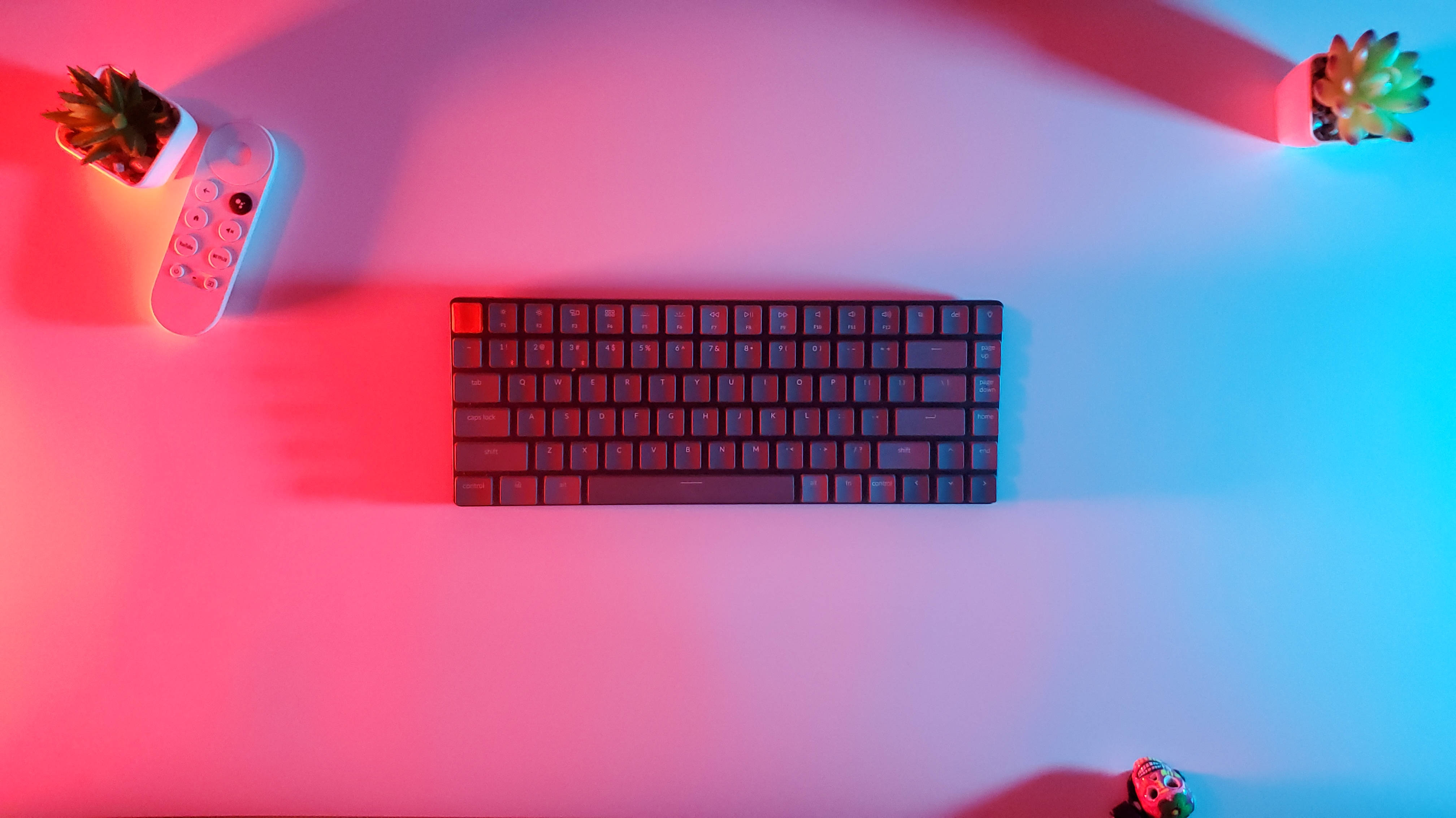Gamer 桌布 壁紙 — 一個時尚的黑色鍵盤放在白色桌子上，被鮮豔的粉紅色和藍色霓虹燈照亮，每個角落都有小盆栽多肉植物。