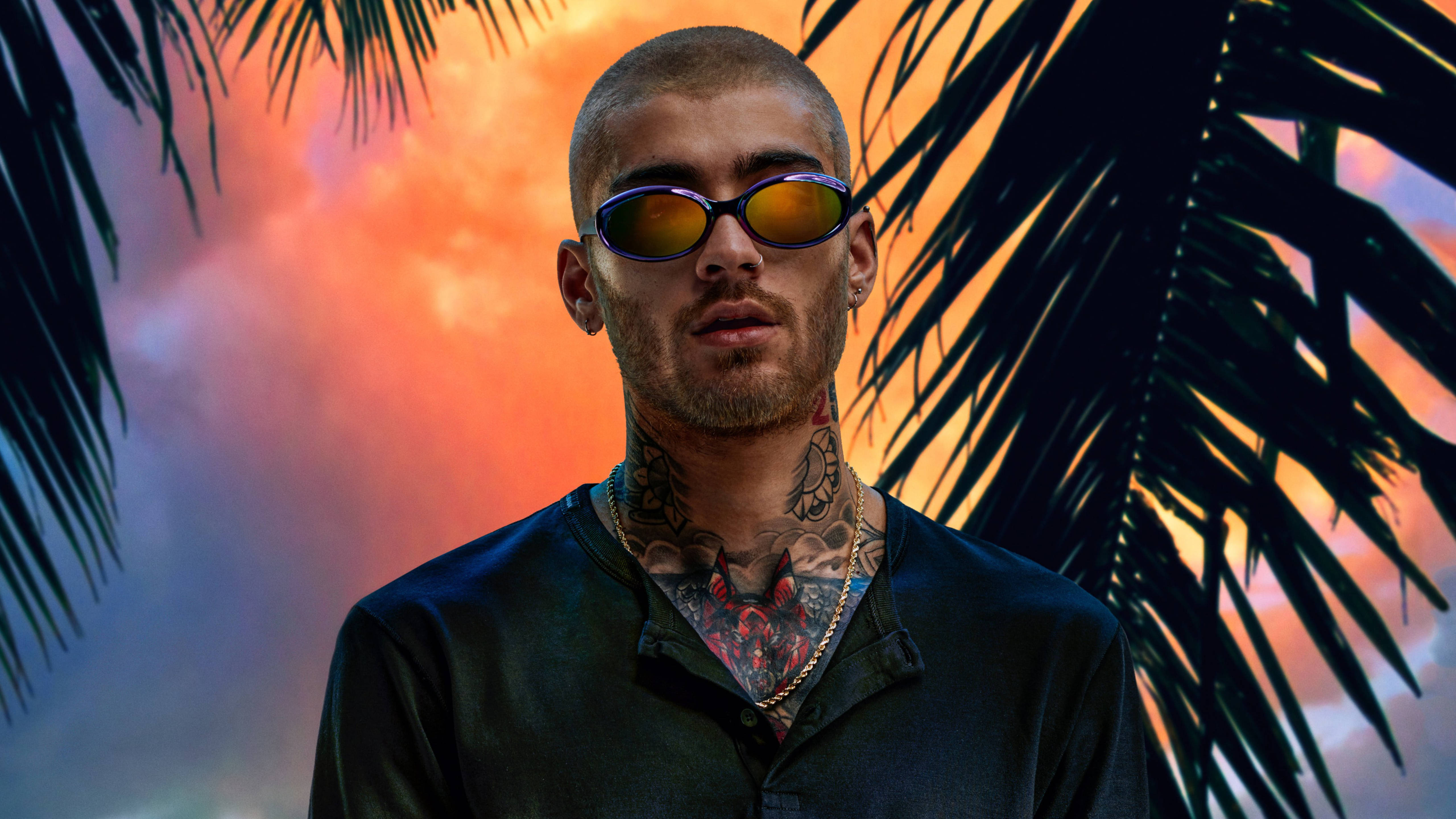 zayn 桌布 壁紙 — 一個有刺青和戴太陽眼鏡的男人站在棕櫚葉框住的鮮豔日落天空前。