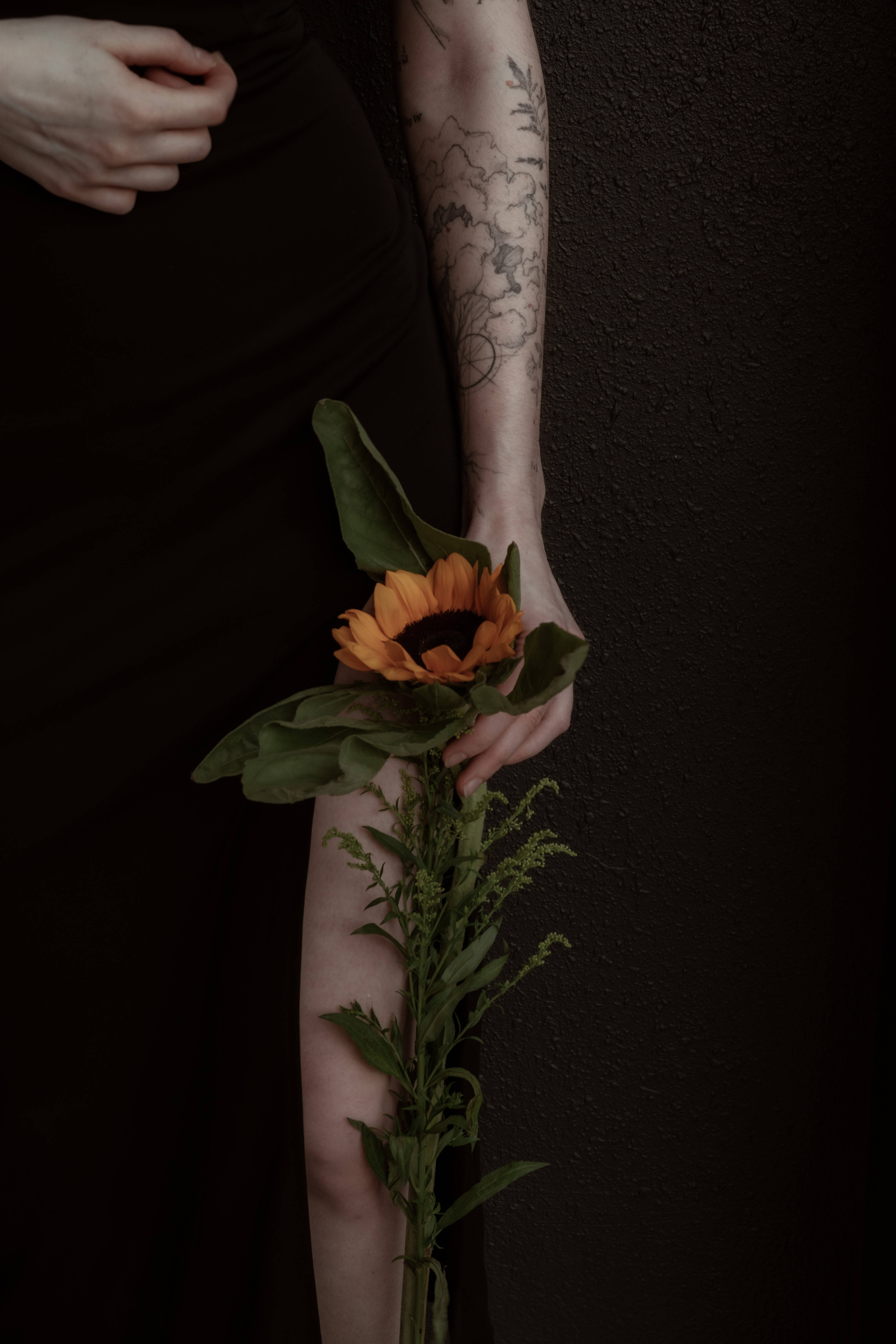 Sunflower Aesthetic 桌布 壁紙 — 一個有刺青手臂的人拿著向日葵，靠著深色紋理牆壁，營造出憂鬱的肖像。