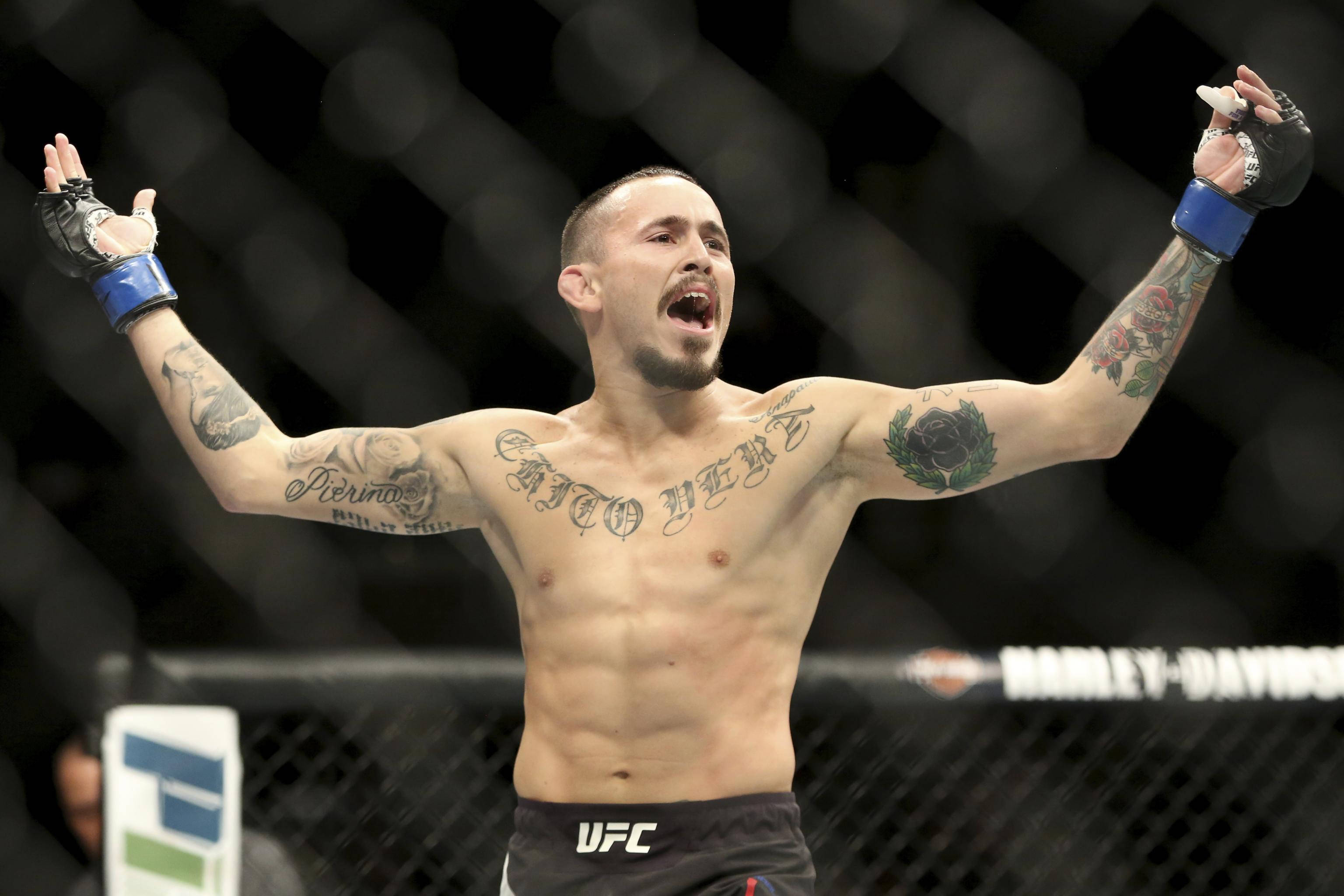 UFC 桌布 壁紙 — 一個有刺青的MMA拳手赤裸上身，在UFC八角籠中高舉雙臂勝利吶喊。