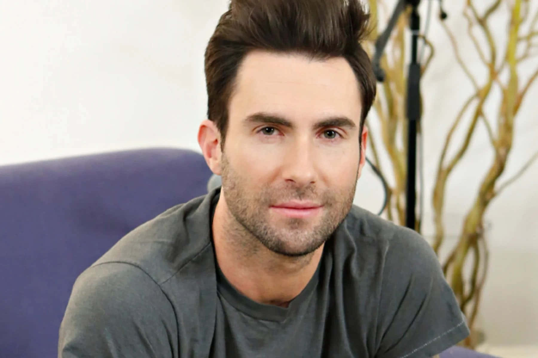 Adam Levine 桌布 壁紙 — 一個有型深色頭髮和鬍渣的男人坐在紫色沙發上，冷靜地直視鏡頭。