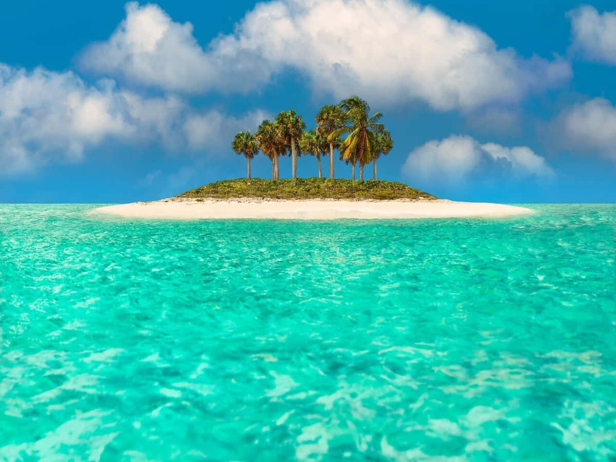 Beach Zoom 桌布 壁紙 — 一個有棕櫚樹的小熱帶島嶼，坐落在清澈碧綠的海水中，上方是明亮的藍天和蓬鬆的白雲。
